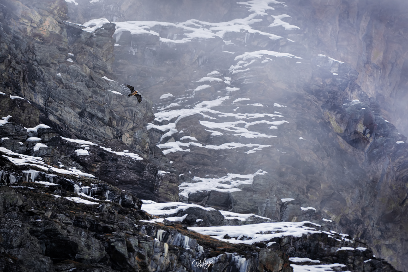 Il Re nel suo gelido regno.