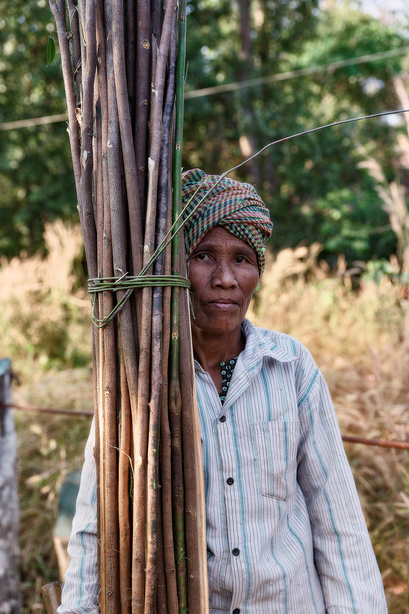 Cambodian peasant