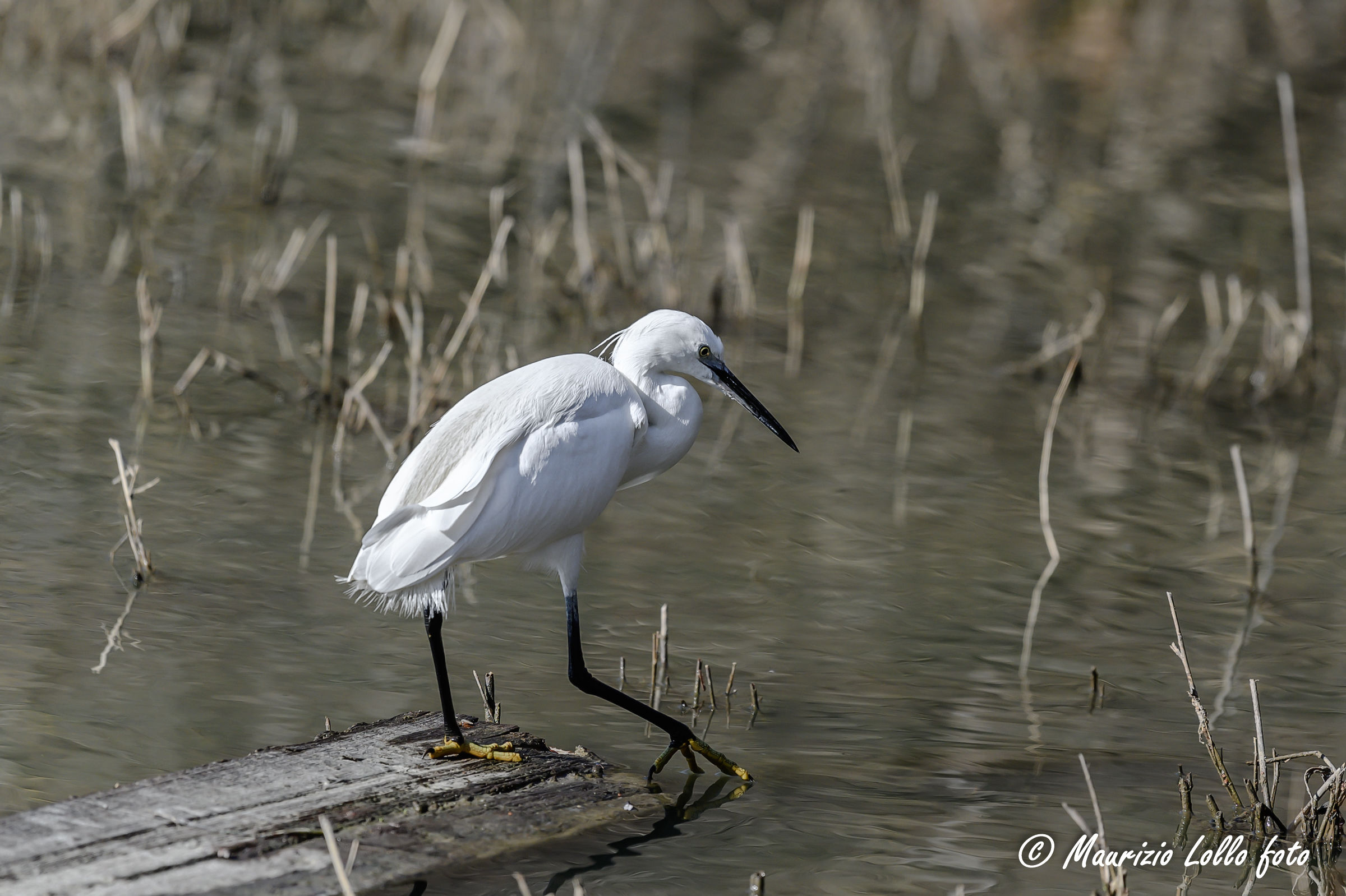 Brrrrrrrrrrrrrrrrrr ... sarà fredda?!?!