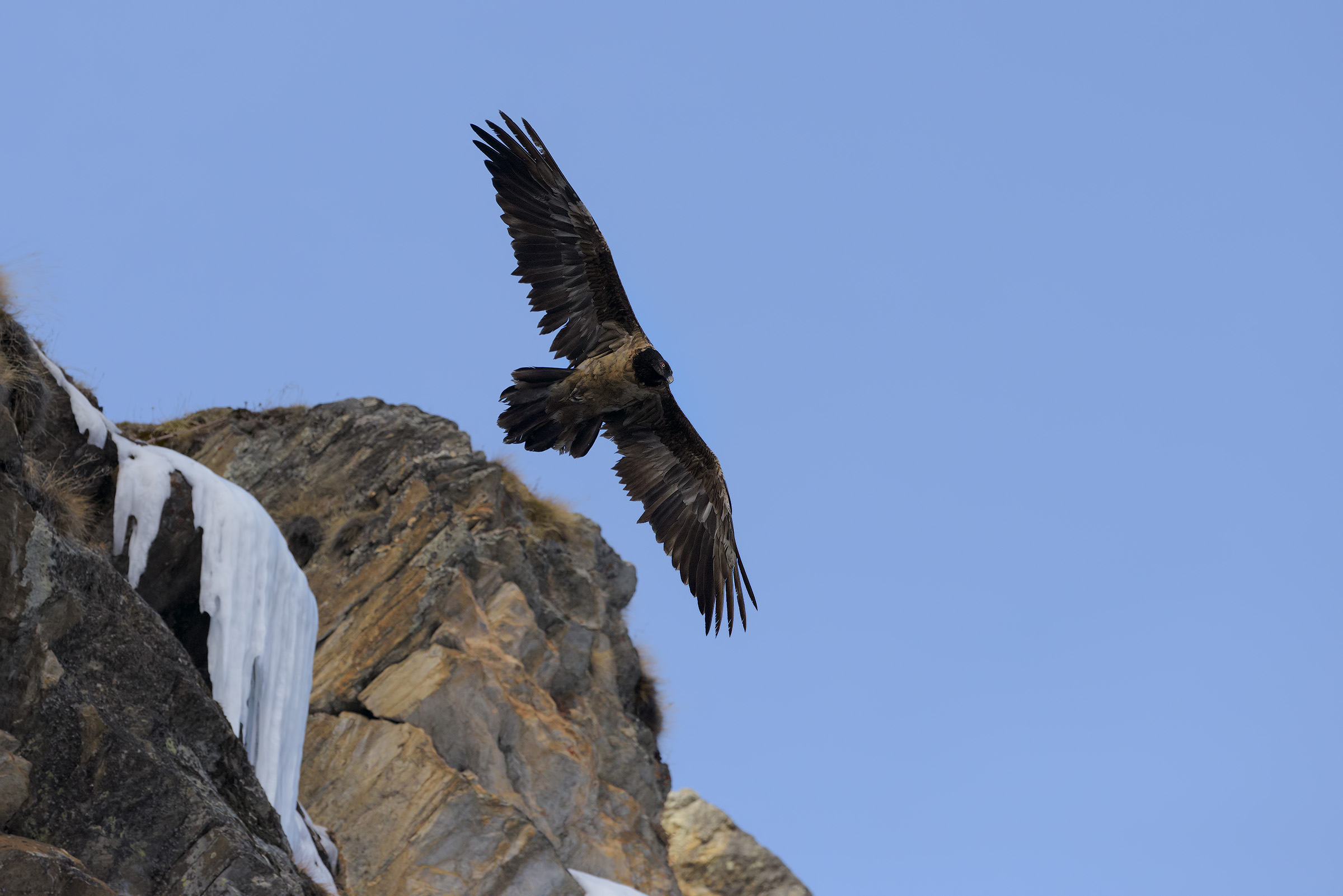 He and the waterfall
