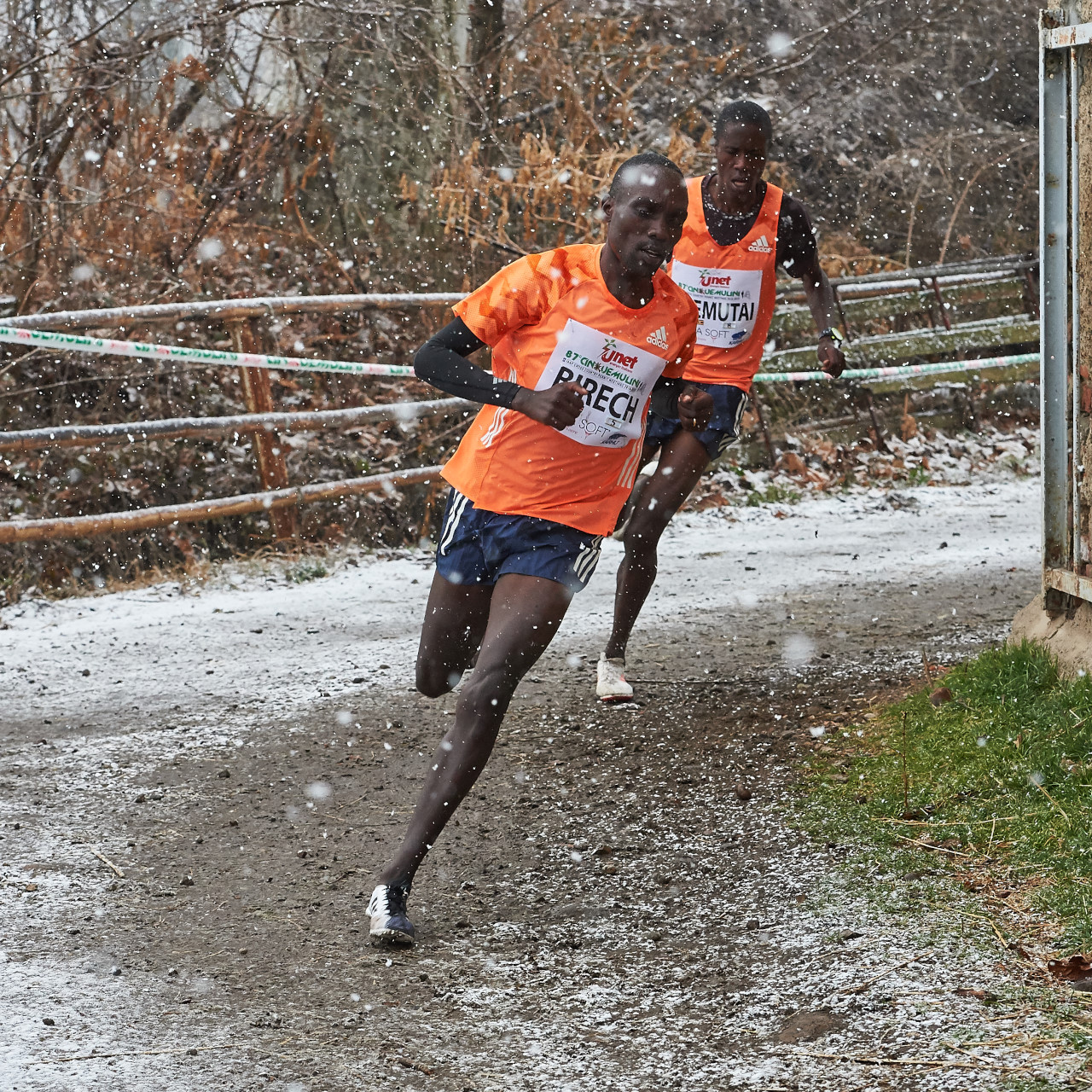 The head of the race
