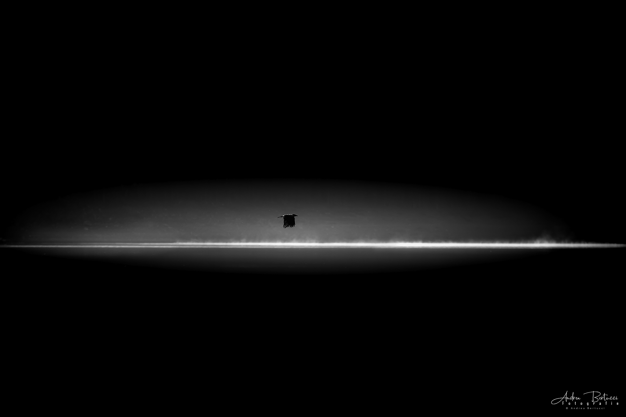 The dark side of the light