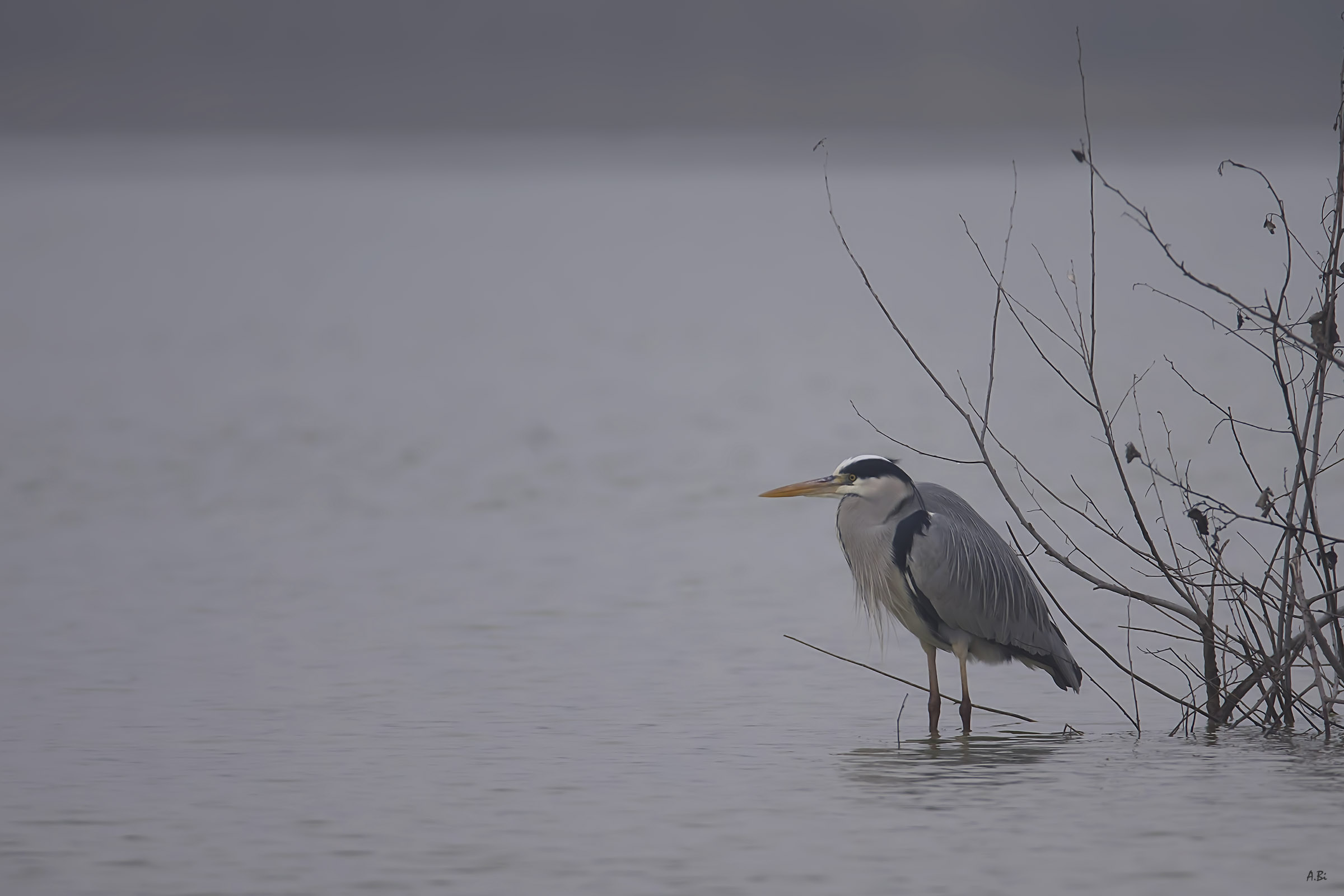 Waiting for the sun...