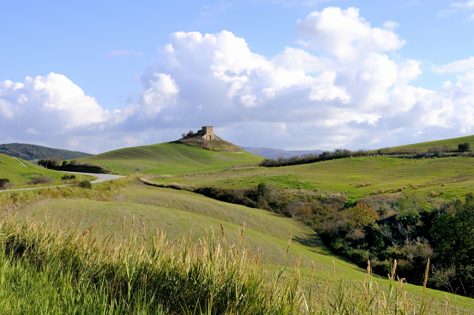 Colline provincia di Pisa