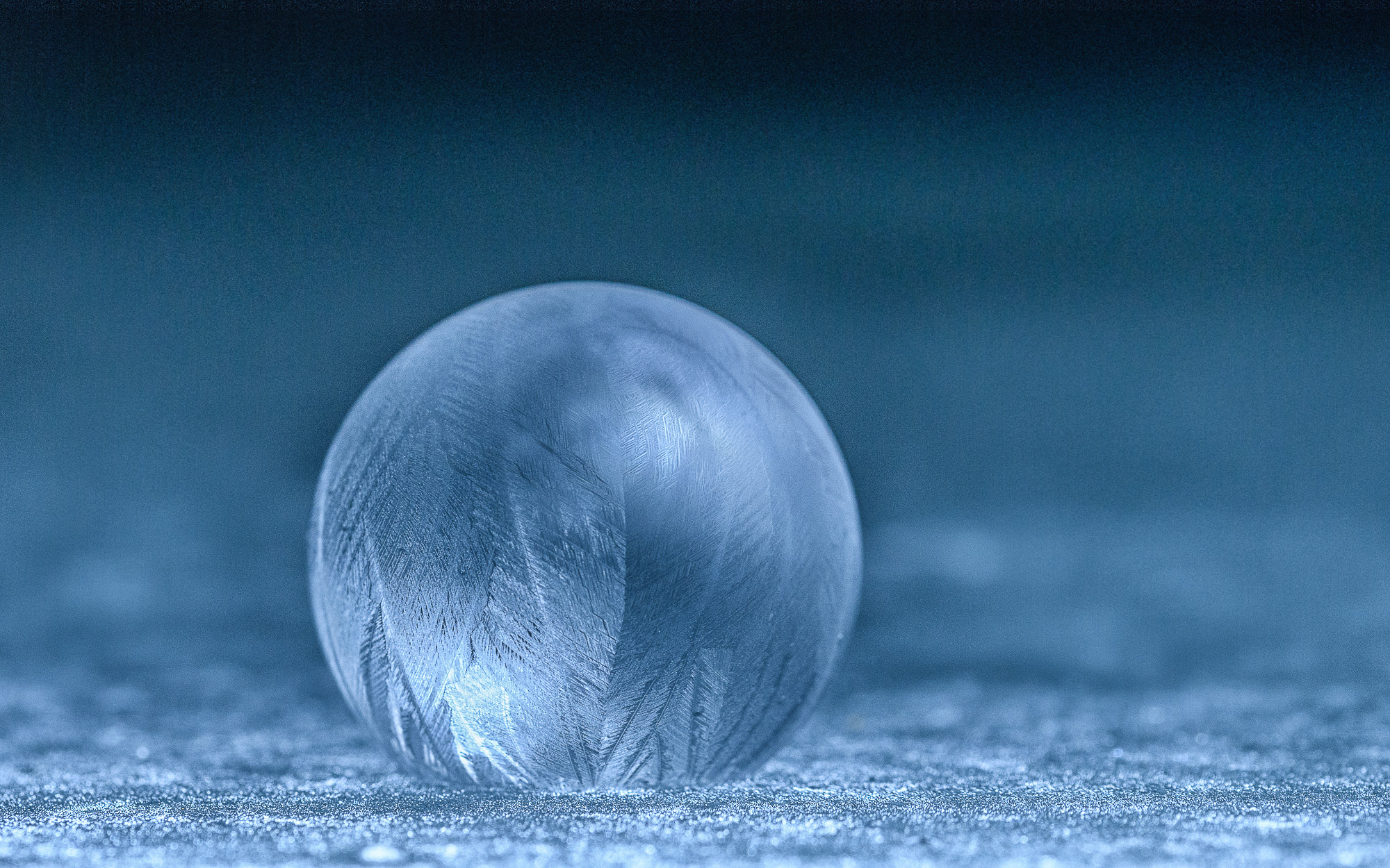 Bolla congelata-tentativo tre