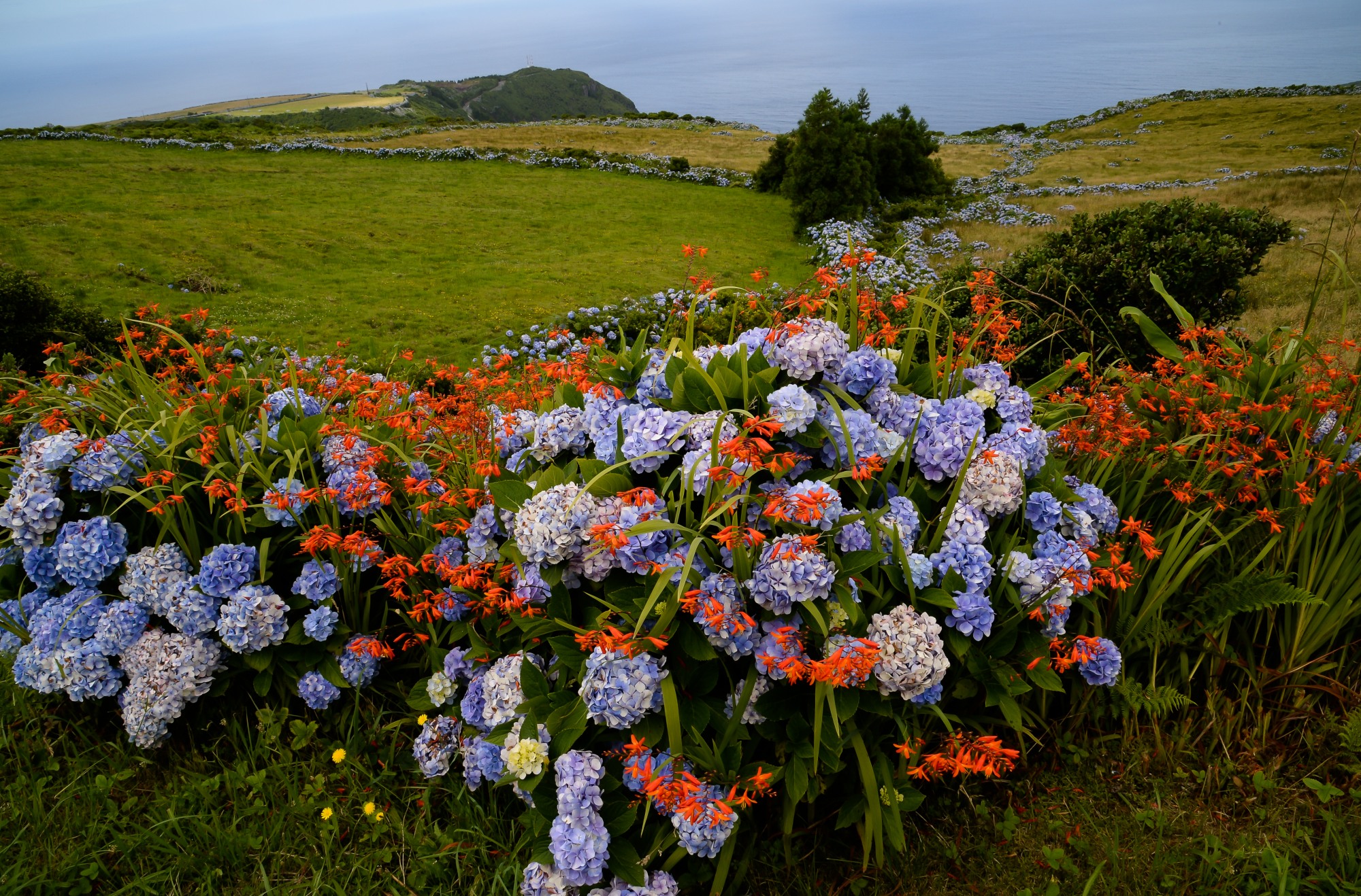 Flores Island, Acores