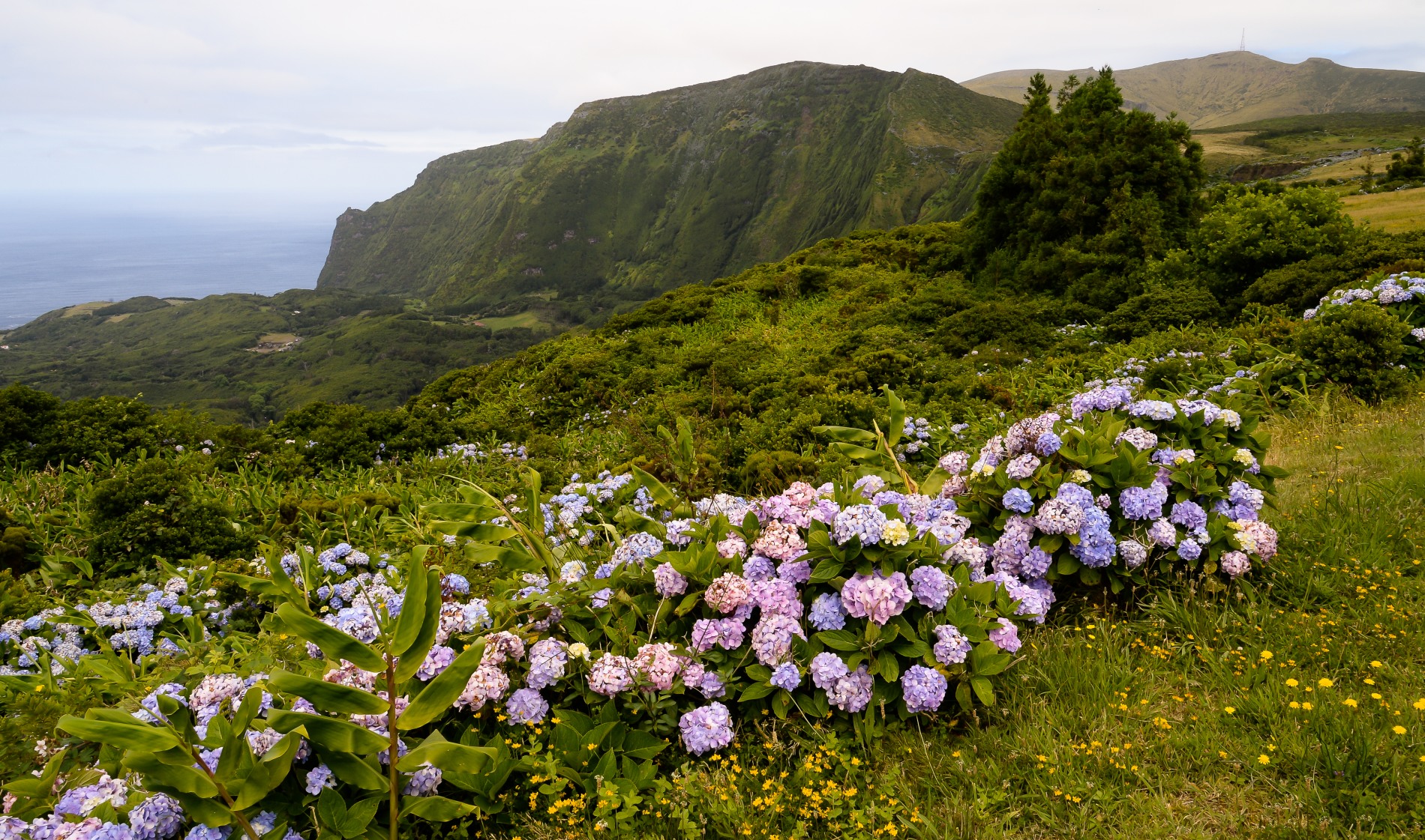 Flores Island, Acores