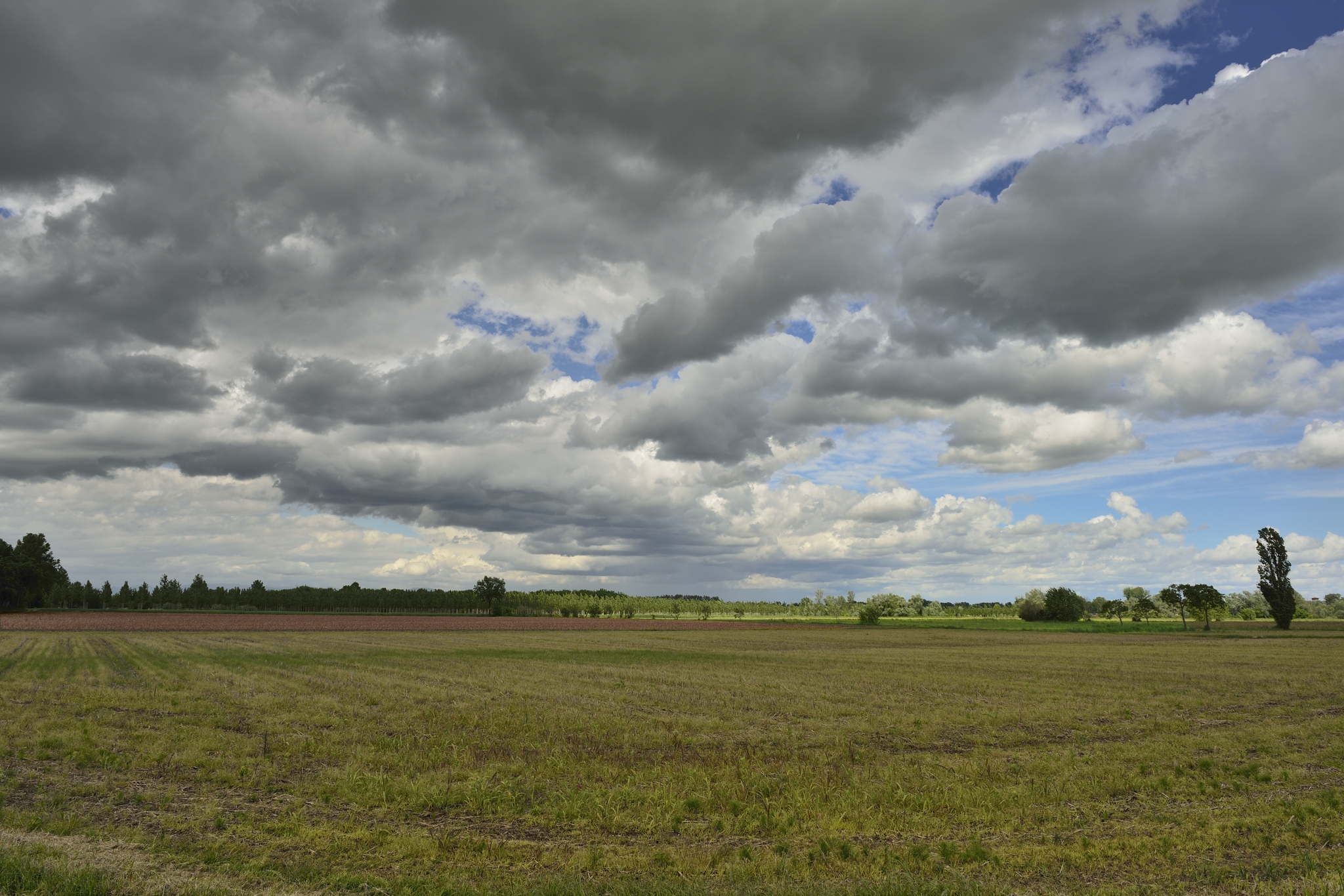 This Volita Cremonese campaign