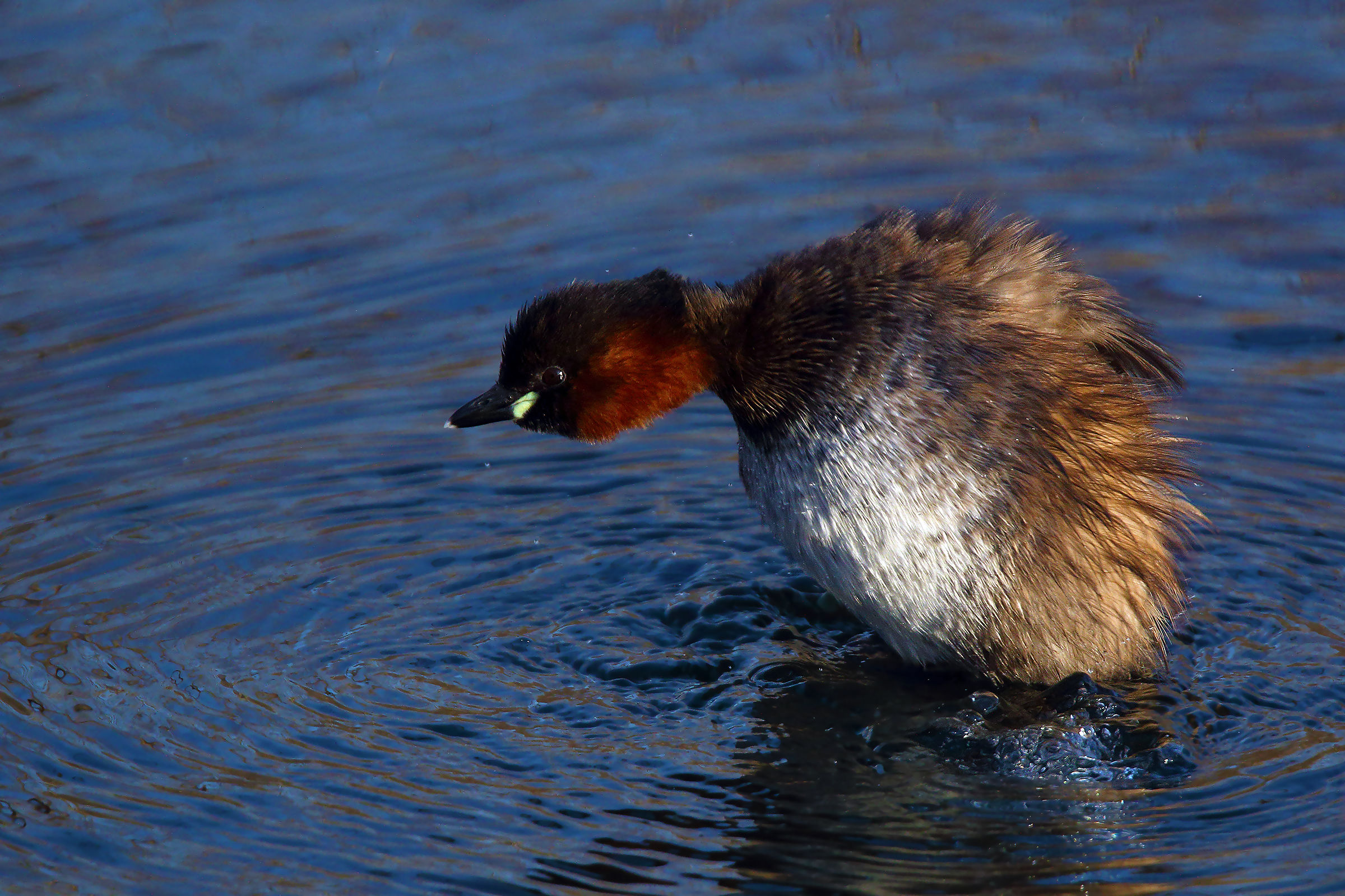 Look at that M'in.... or