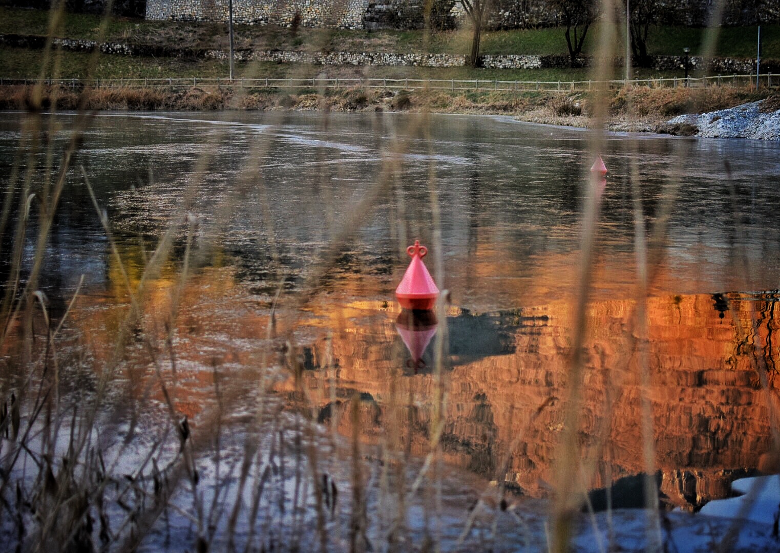 The solitude of a boa