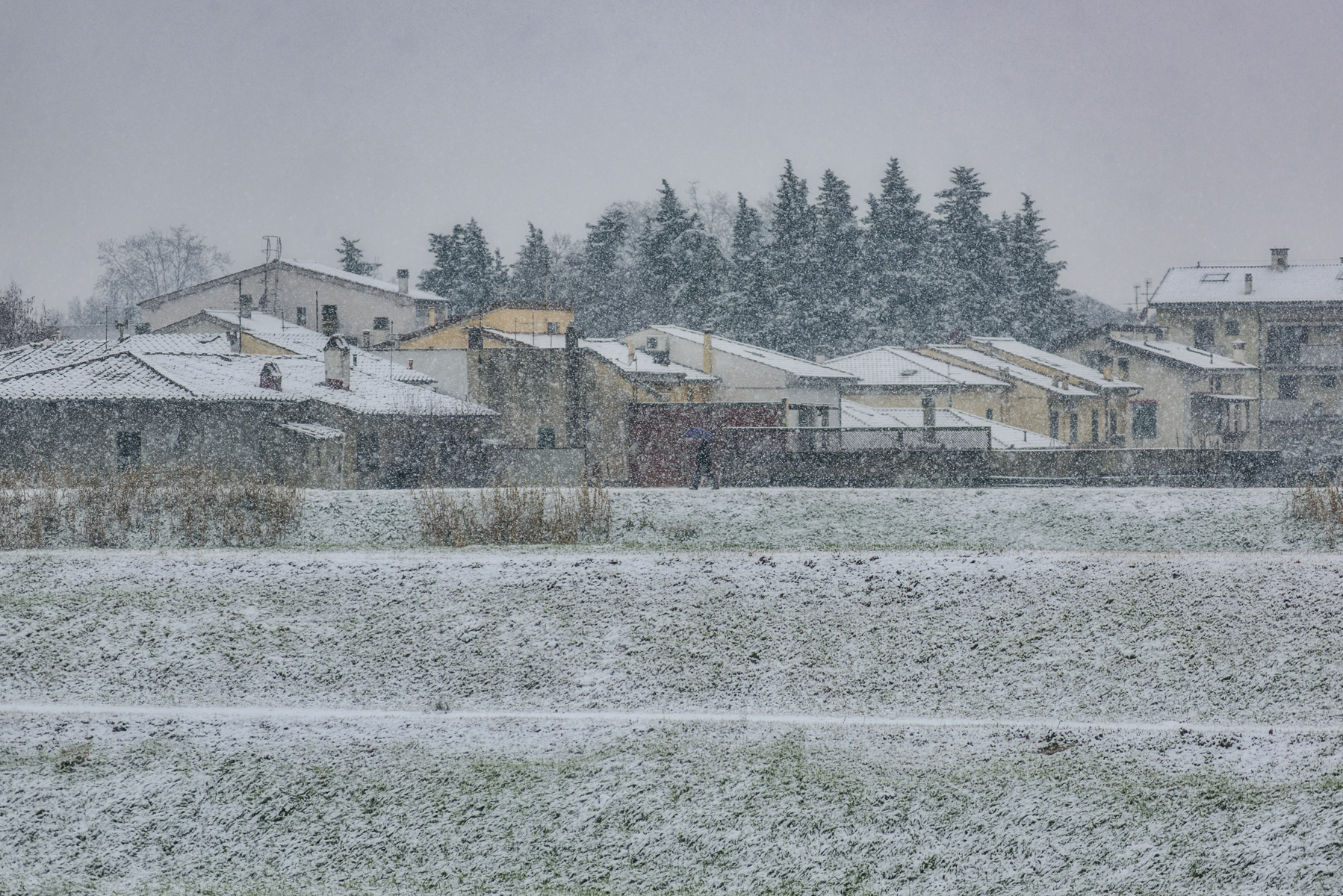 Surprising snowfalls