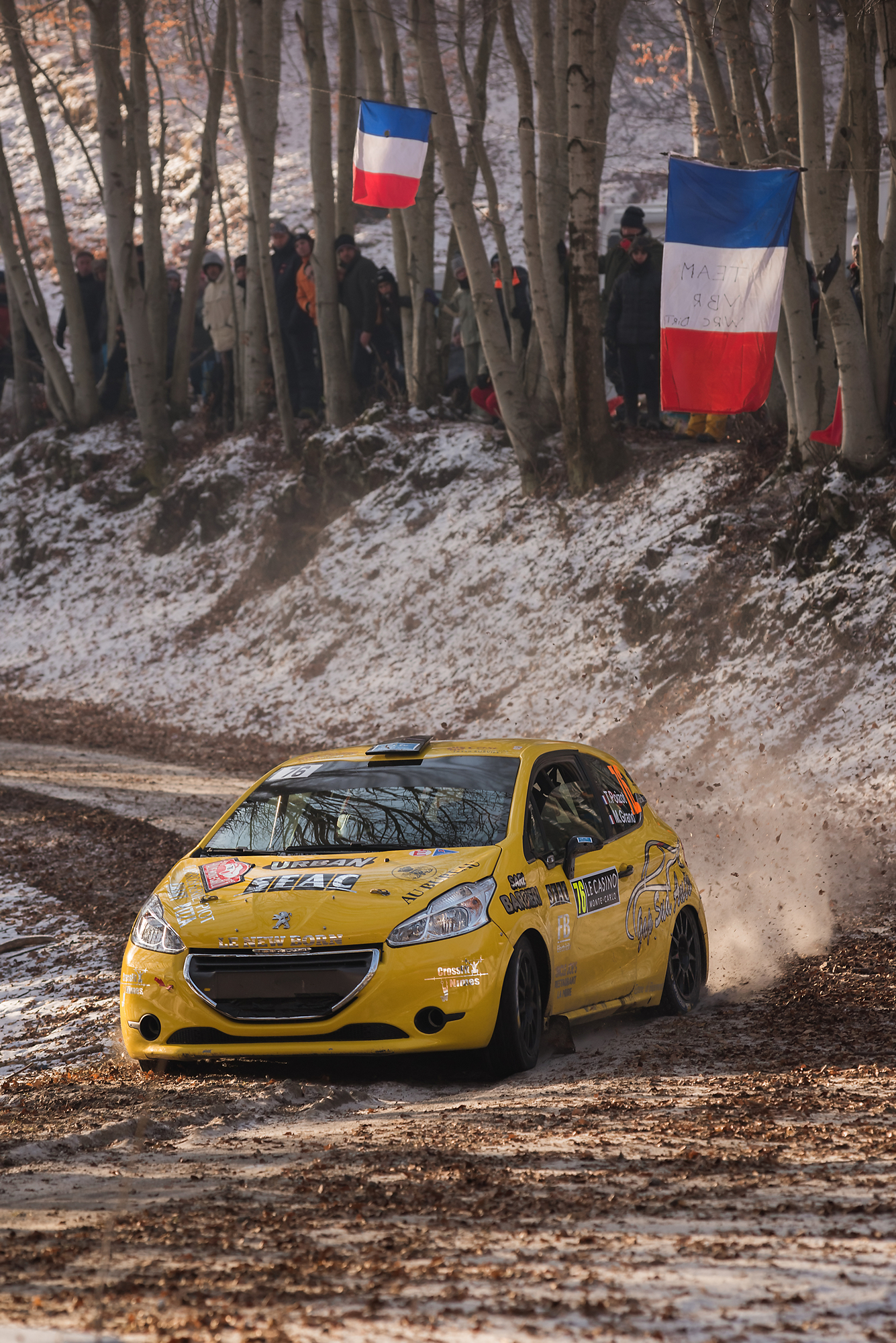 WRC Rallye de Montecarlo 2019-Poizot/Grand