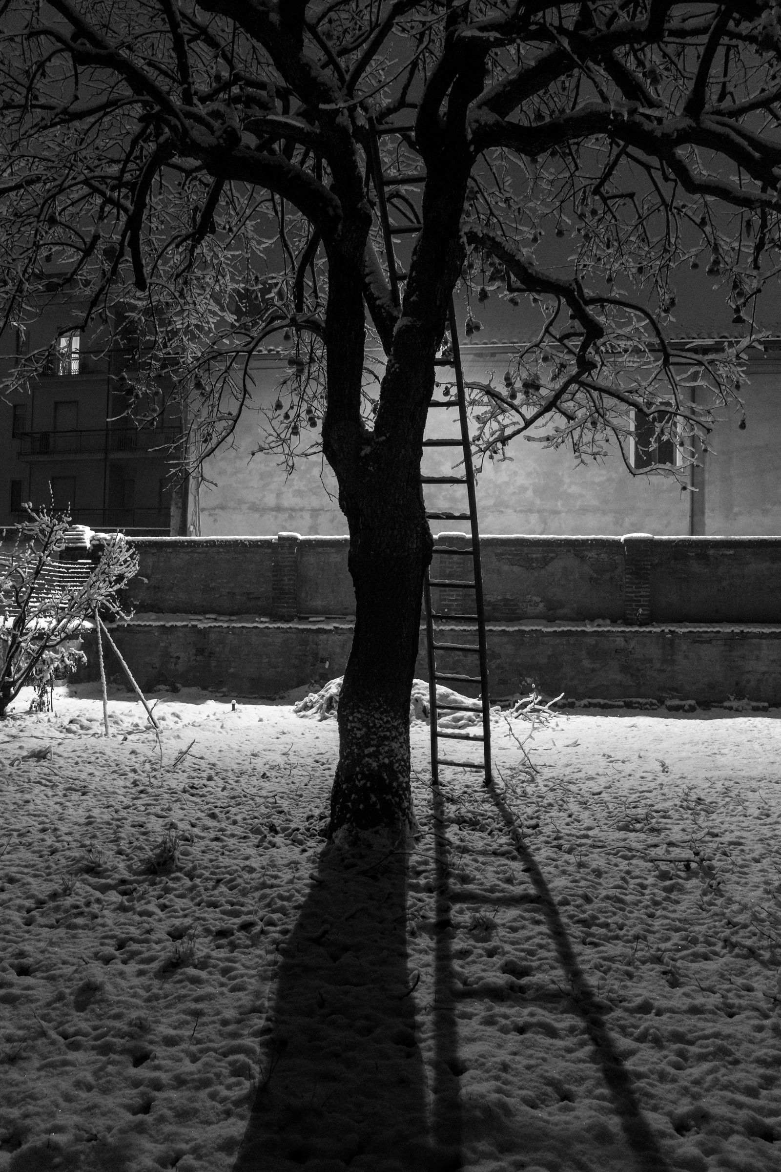 The ladder for the third floor