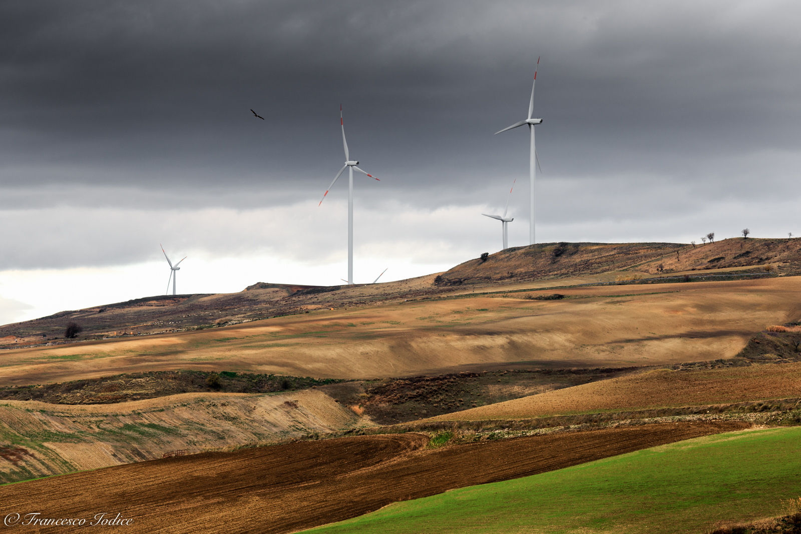 "percorrendo la fossa Bradanica" Colline Lucane