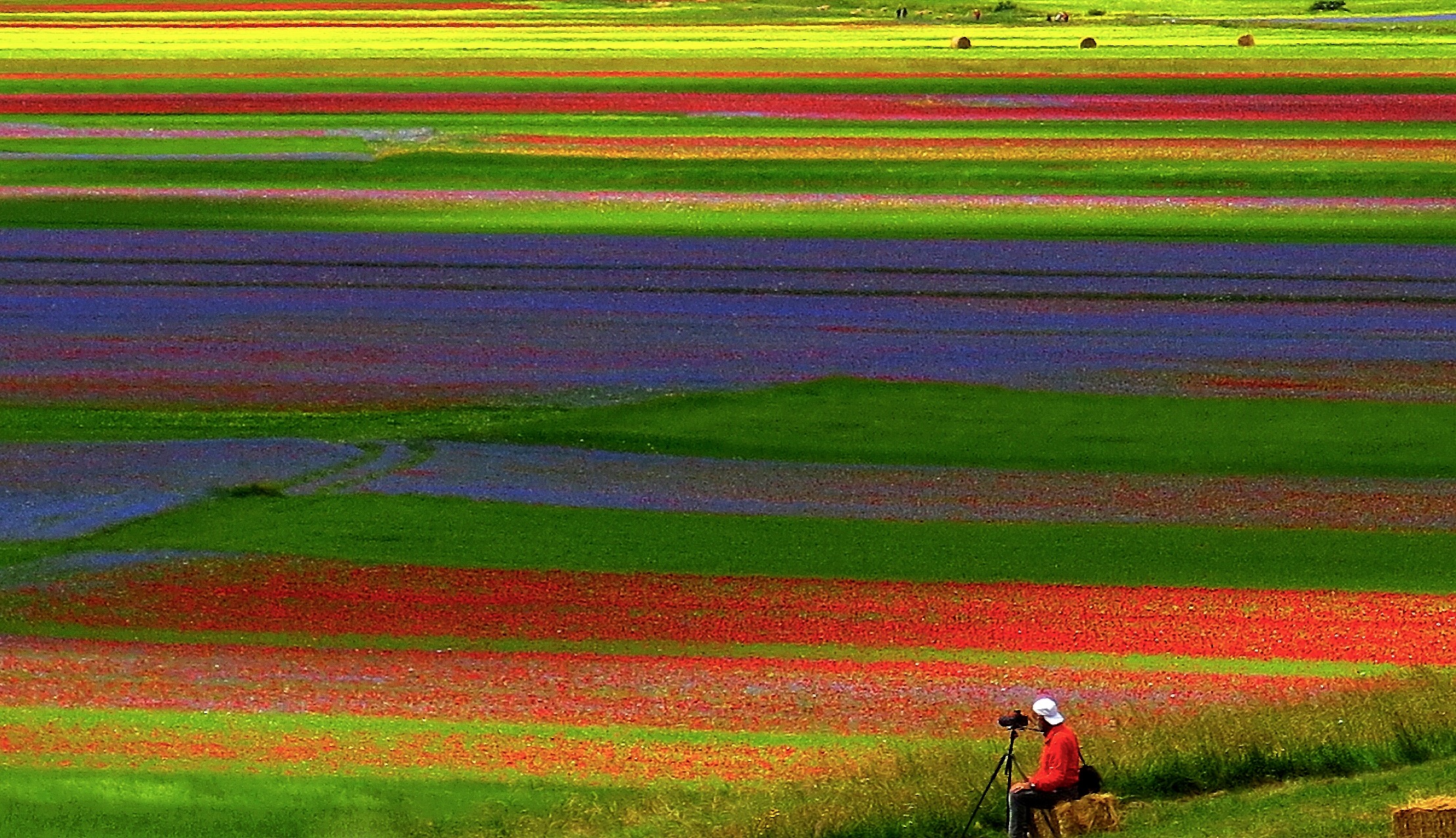 Waiting for the right light