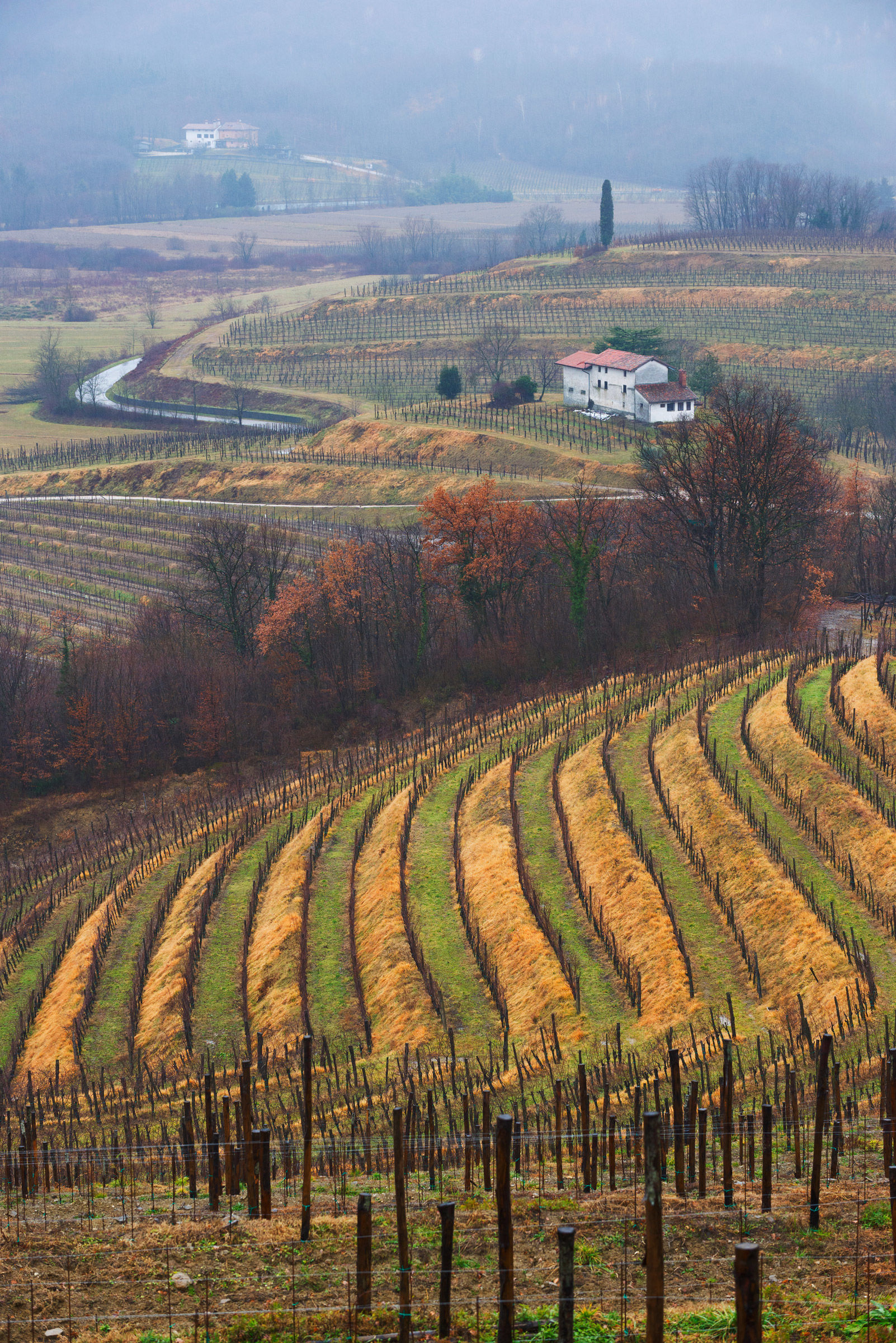 ... unnatural Graphism.