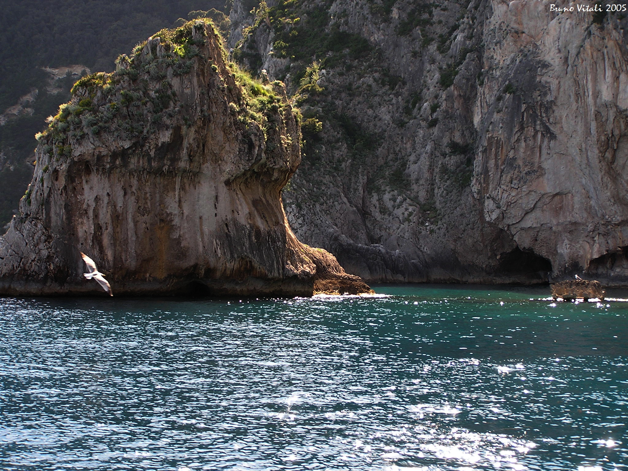 Capri Navigando intorno all'isola