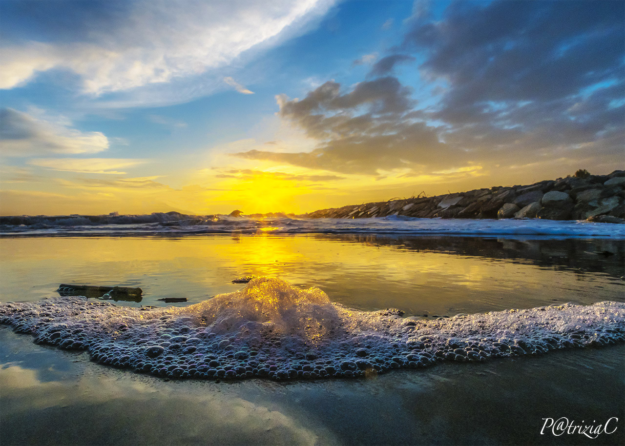 __ Sea of Winter ___