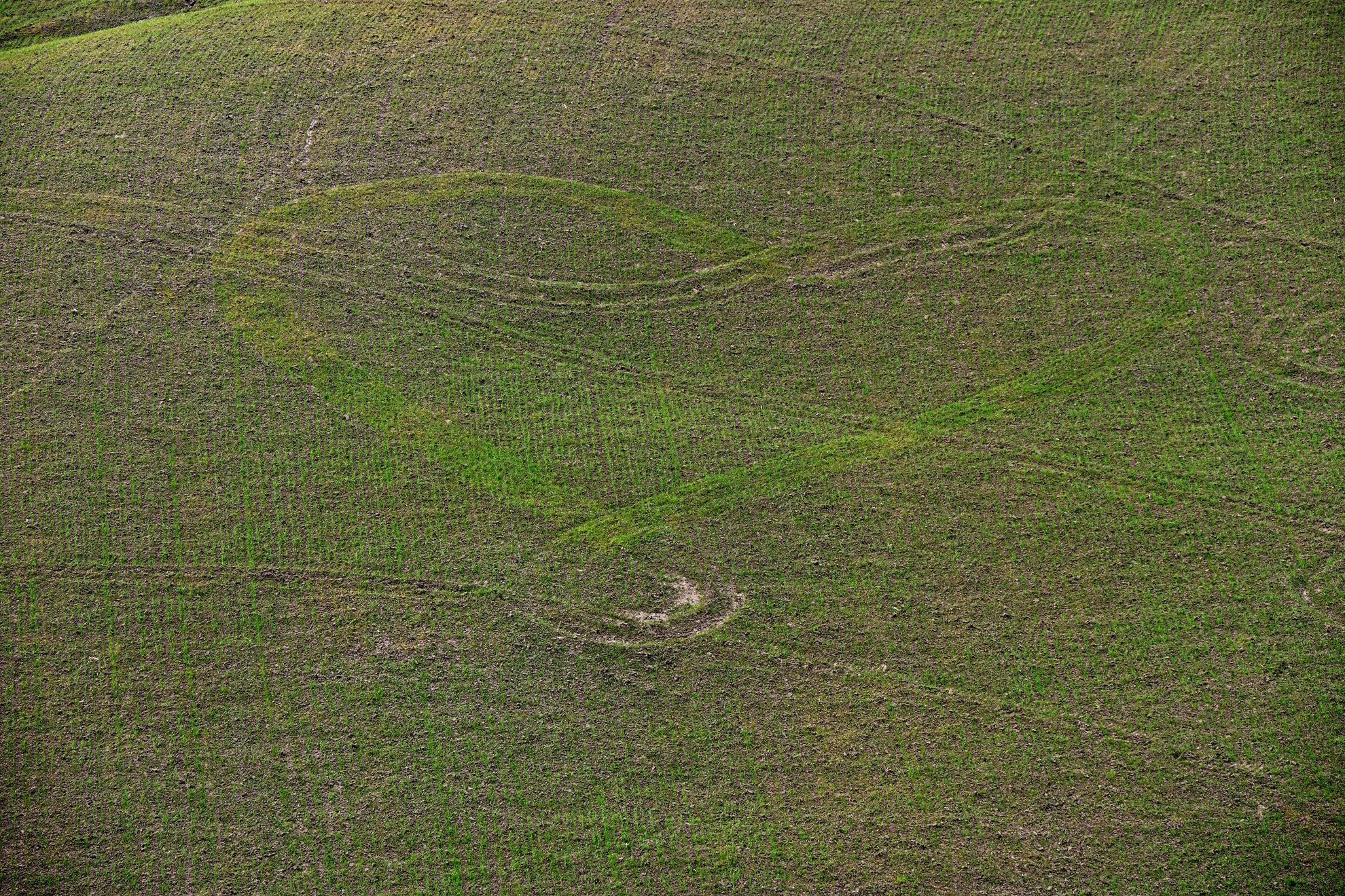 Signs of A (e) Ffetto