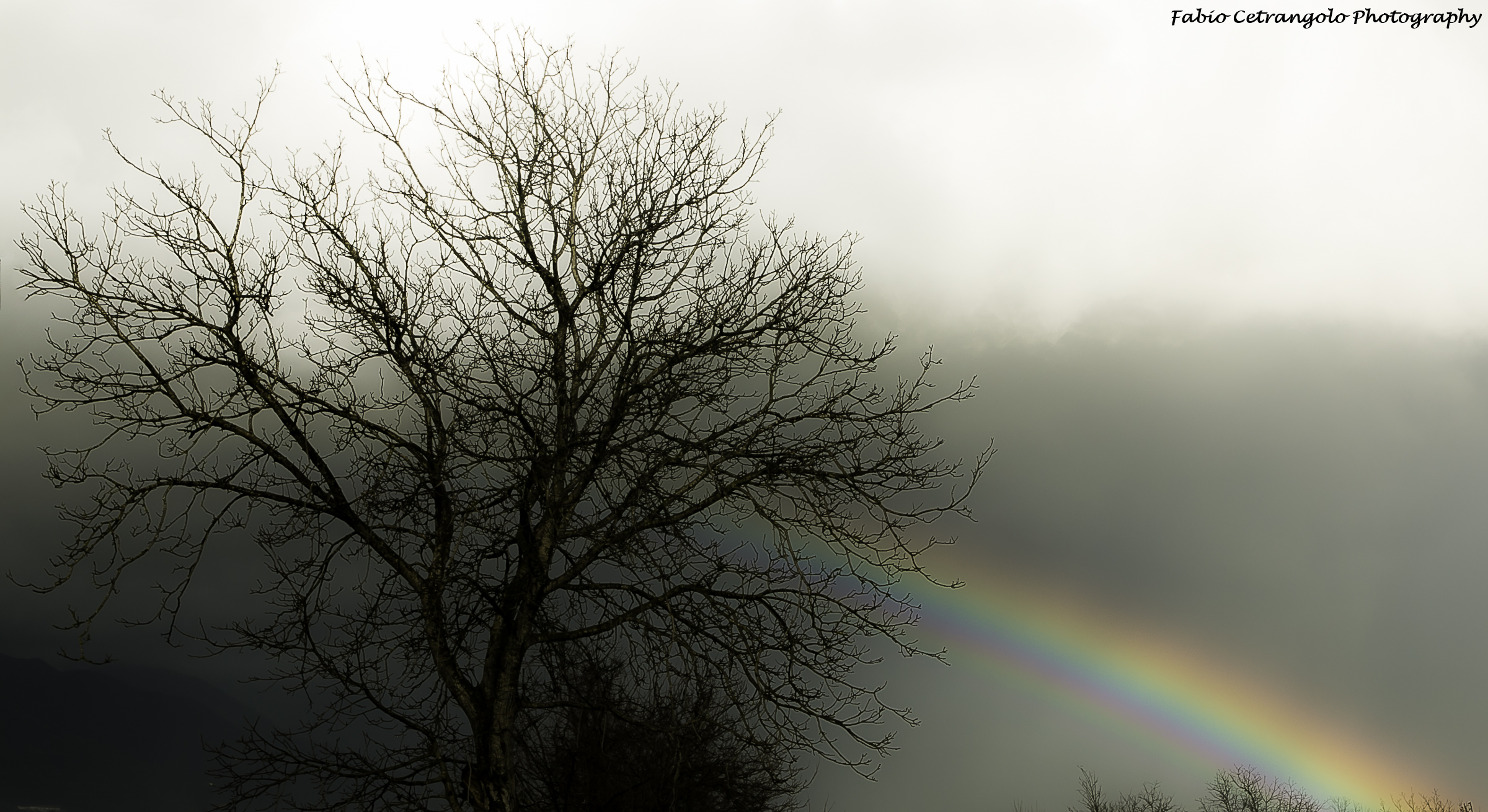 After the rain, the rainbow.