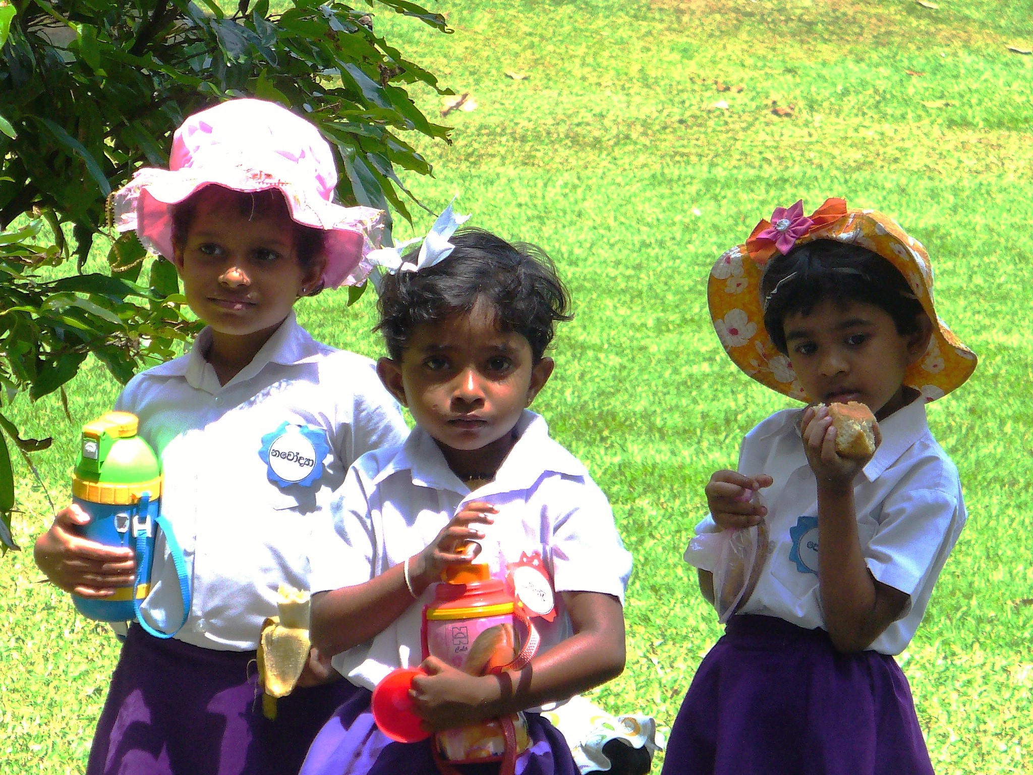 Pronti per il pic nic?