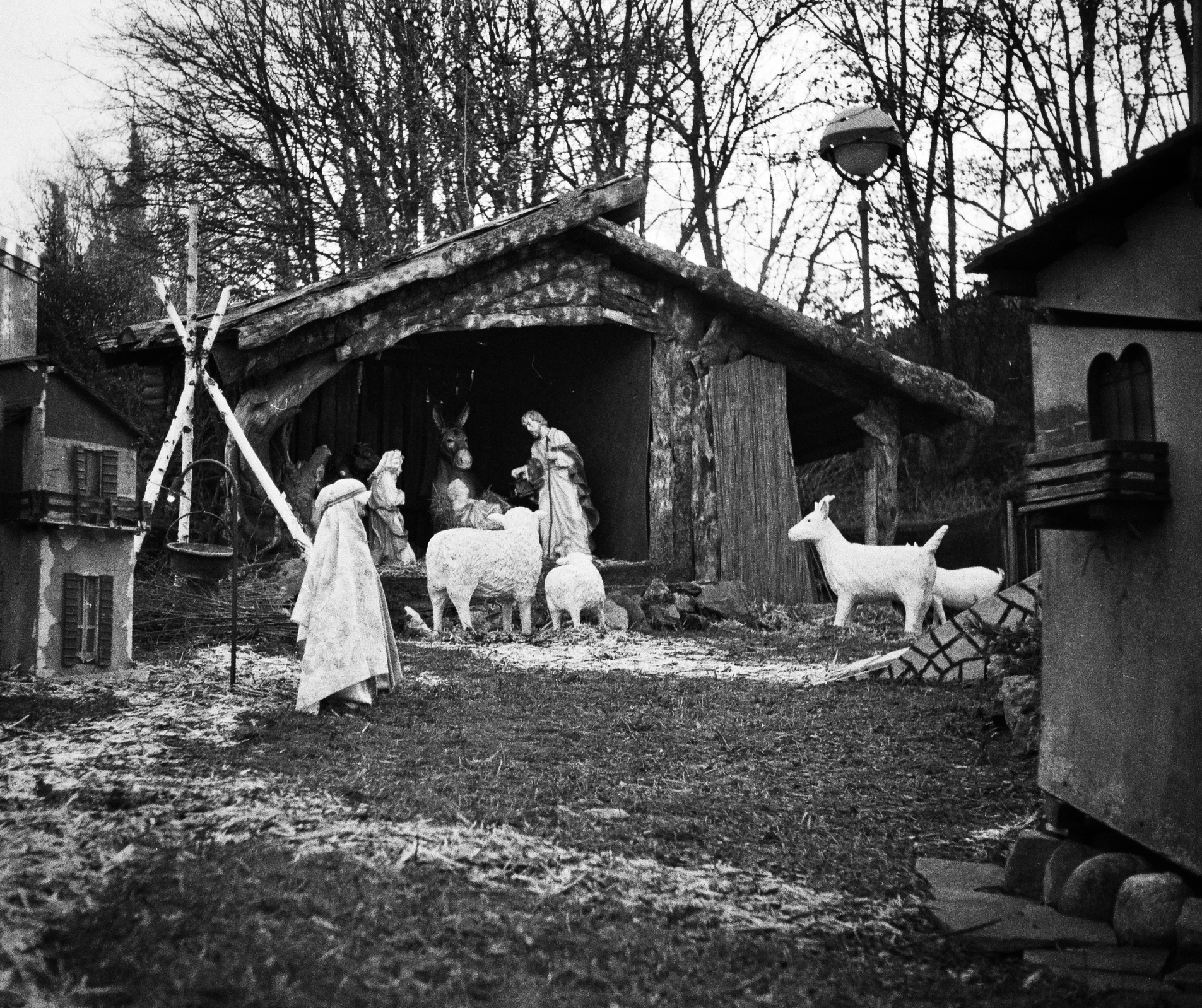 Presepe - Baruccana di Seveso (Pellicola)