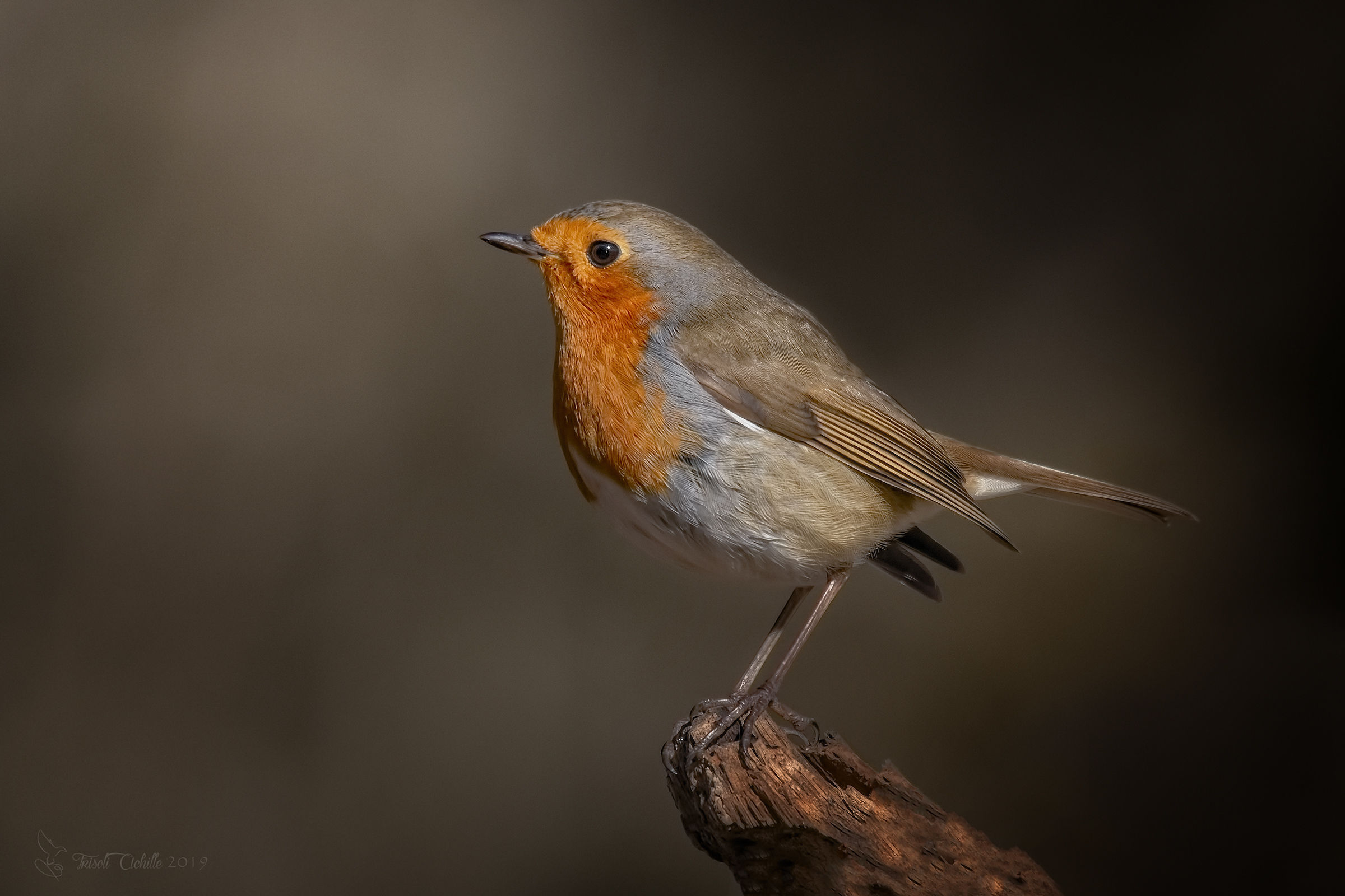 Wherever I go..... "He's There"