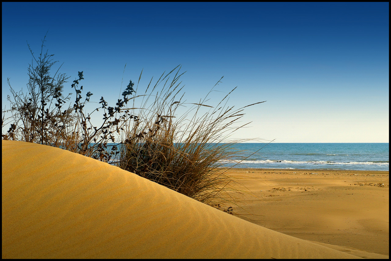 Litorale del Cavallino