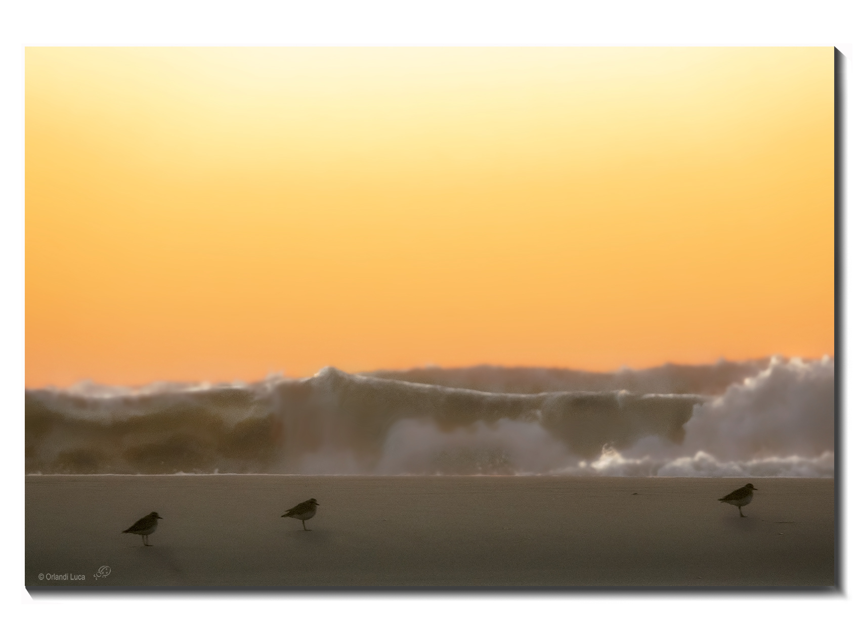 In A quiet Sea storm