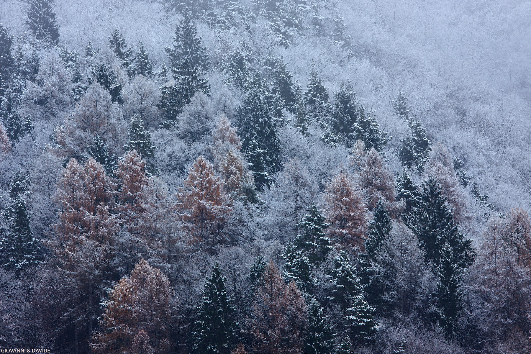 ... The winter robe...