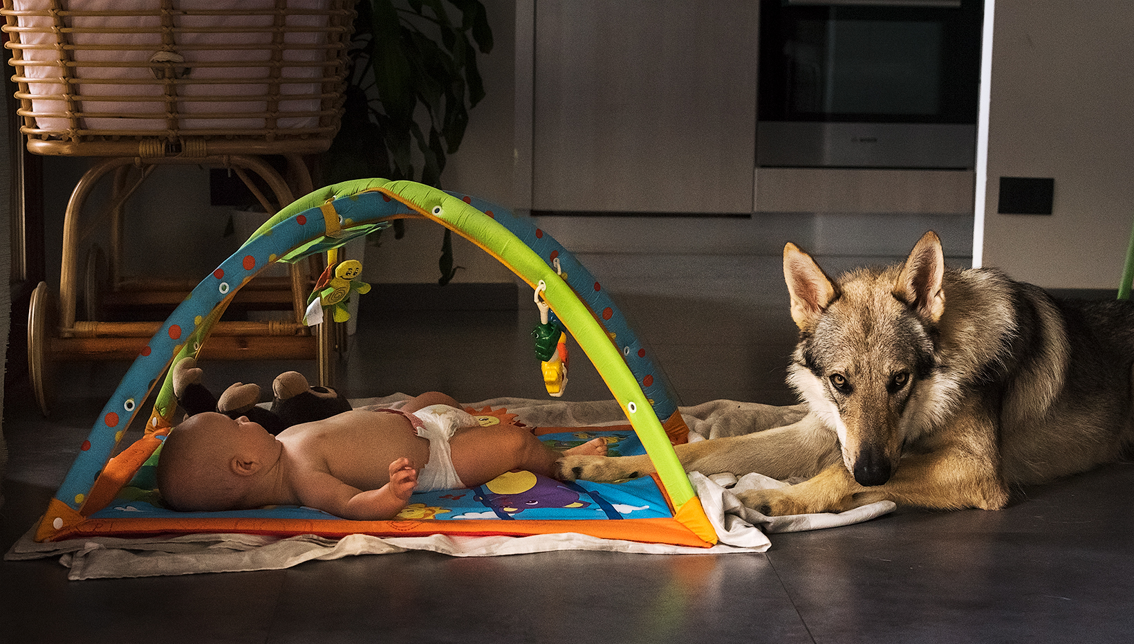 Sleep little, sleep, I watch over You