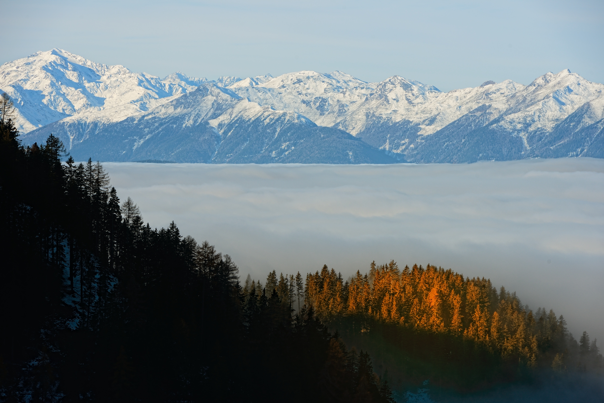 On the Horn of the Renon