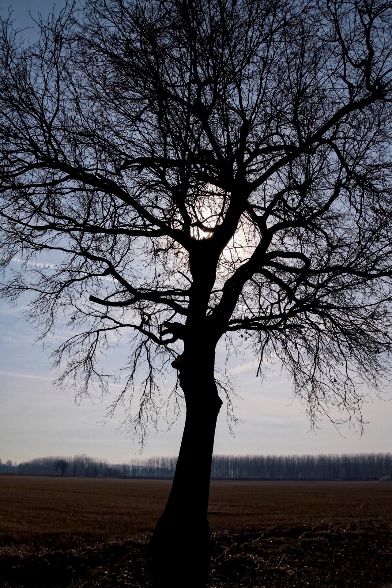 In attesa della primavera.