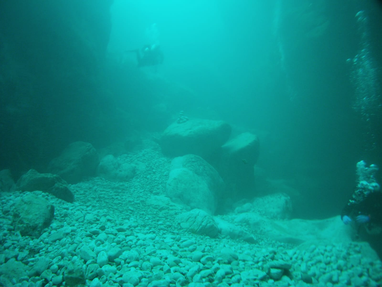 Ritorno all'Elefante Bianco