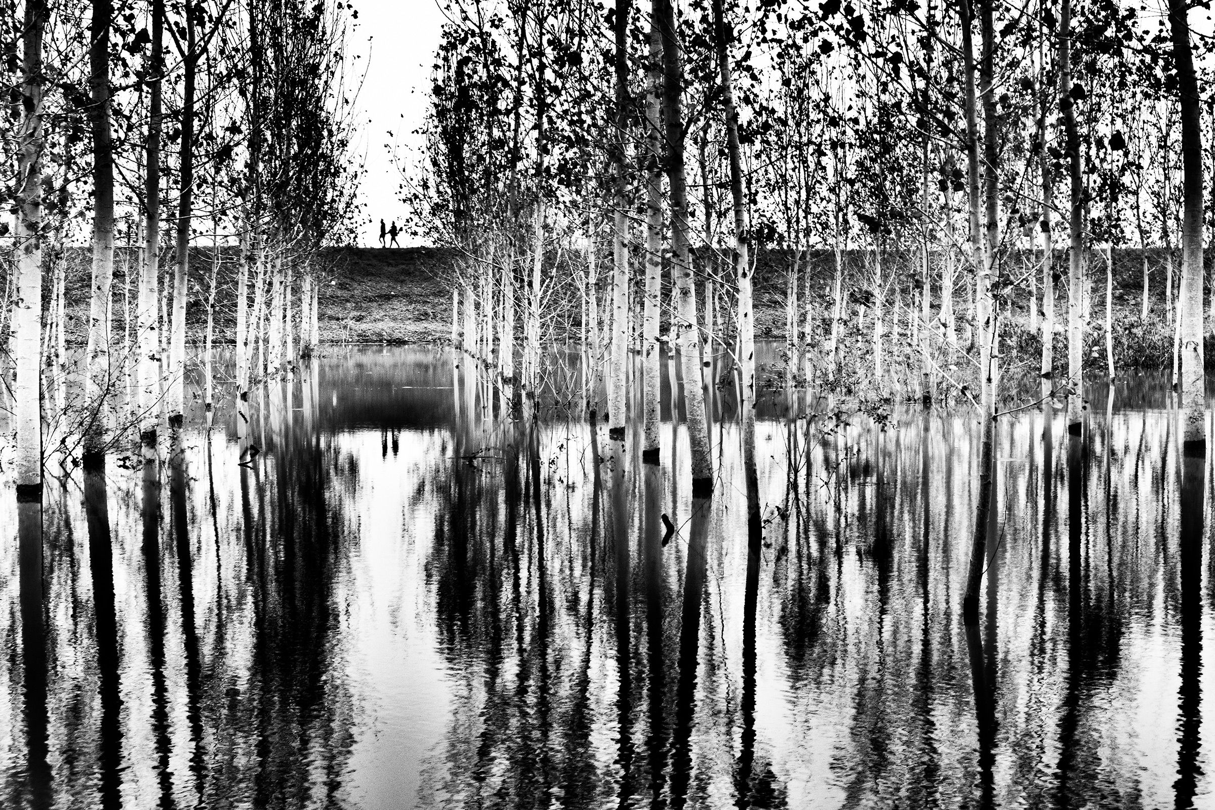 Love Will save us from chaos