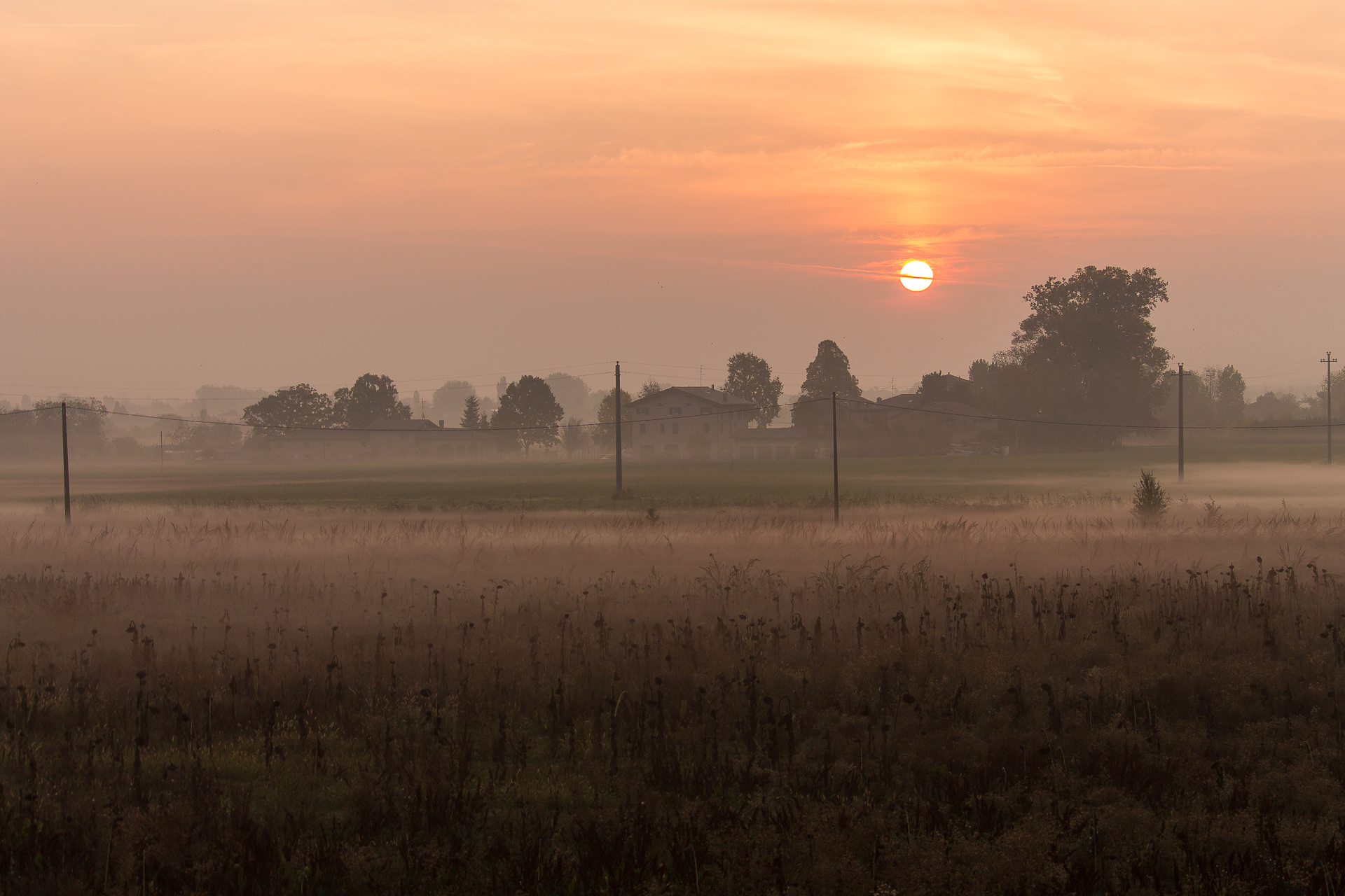 Poco dopo l'alba. Nelle campagne intorno a Modena