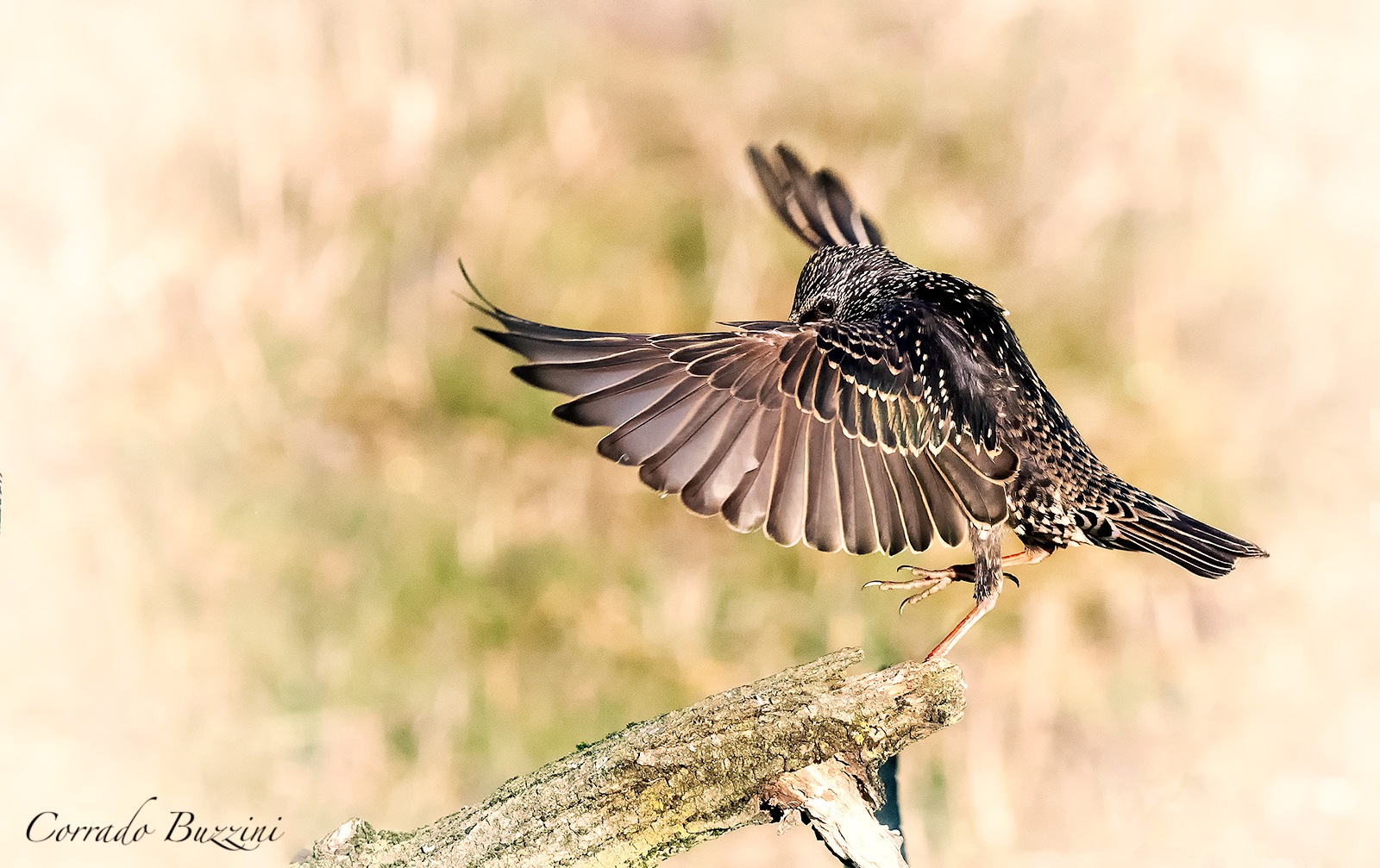 Playing with filters