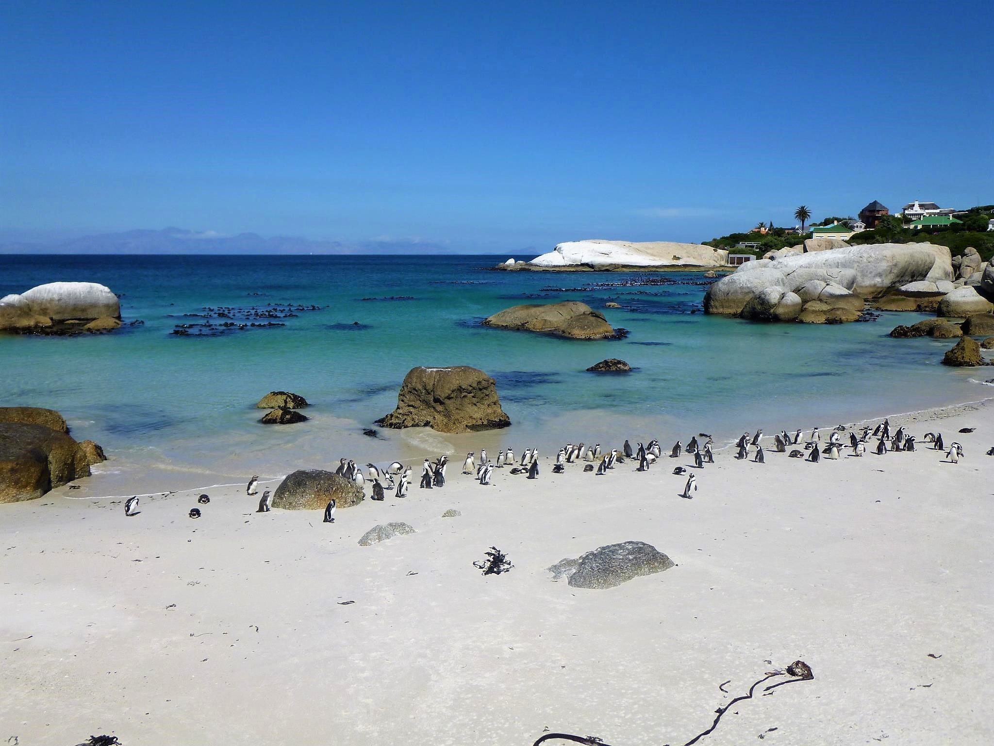 Boulder Beach-Sudafrica