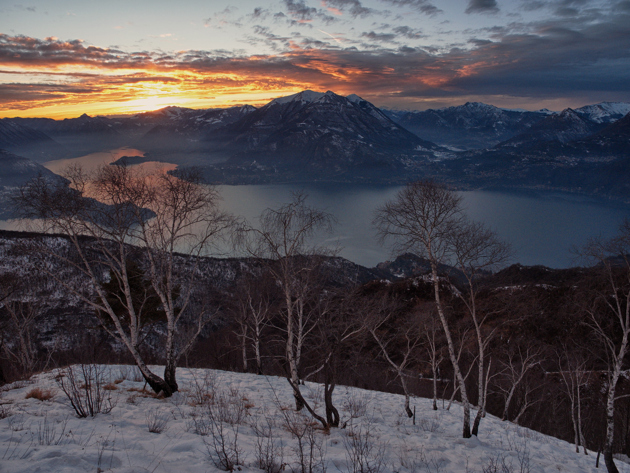 The birch trees on the lake