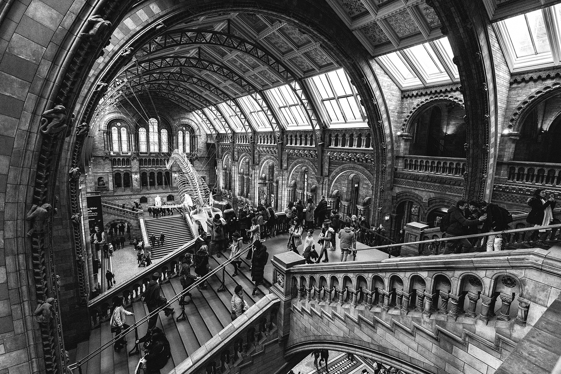 Natural History Museum