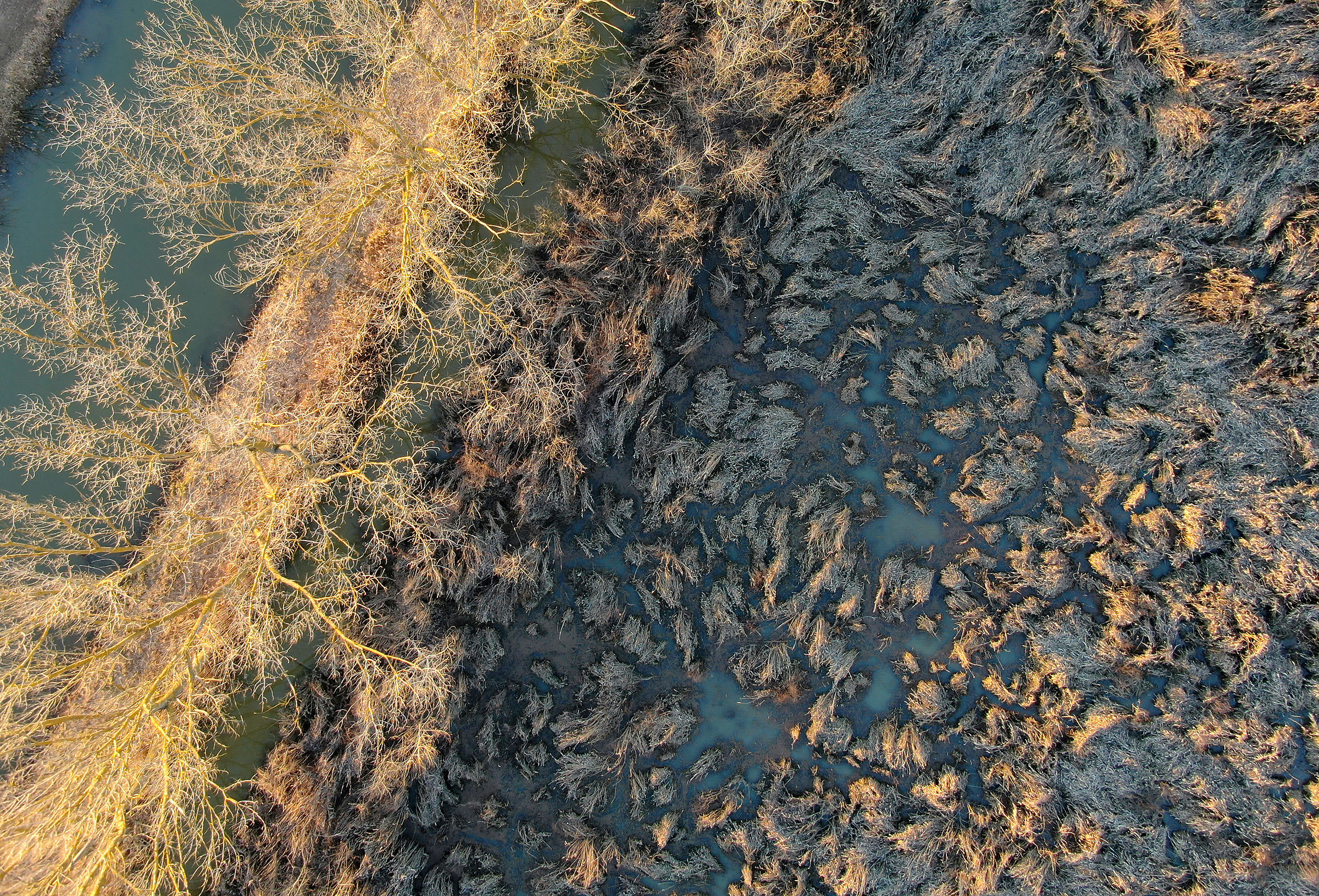 The port of Morette-Padule di Fucecchio 4