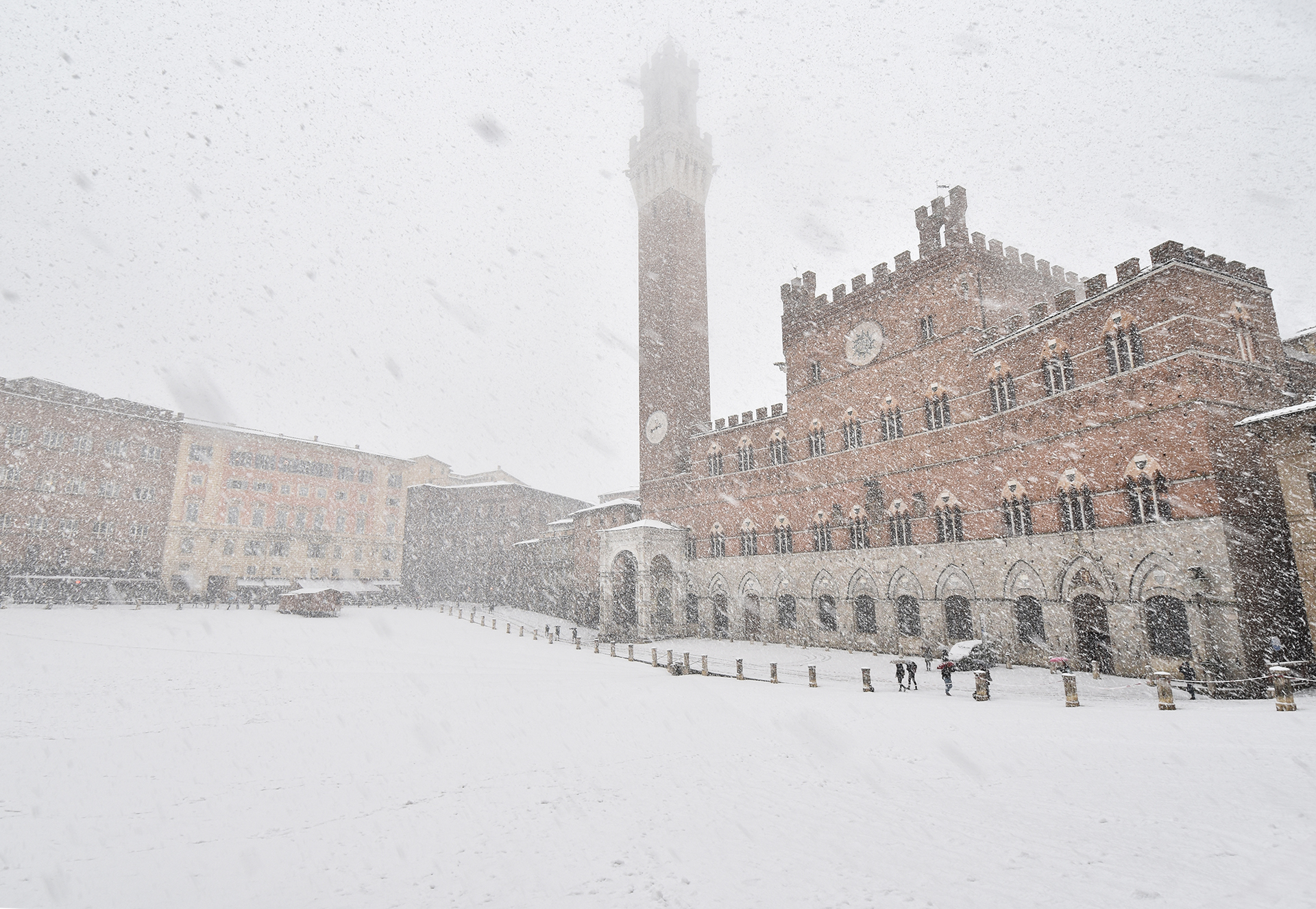 Field Square under the snow