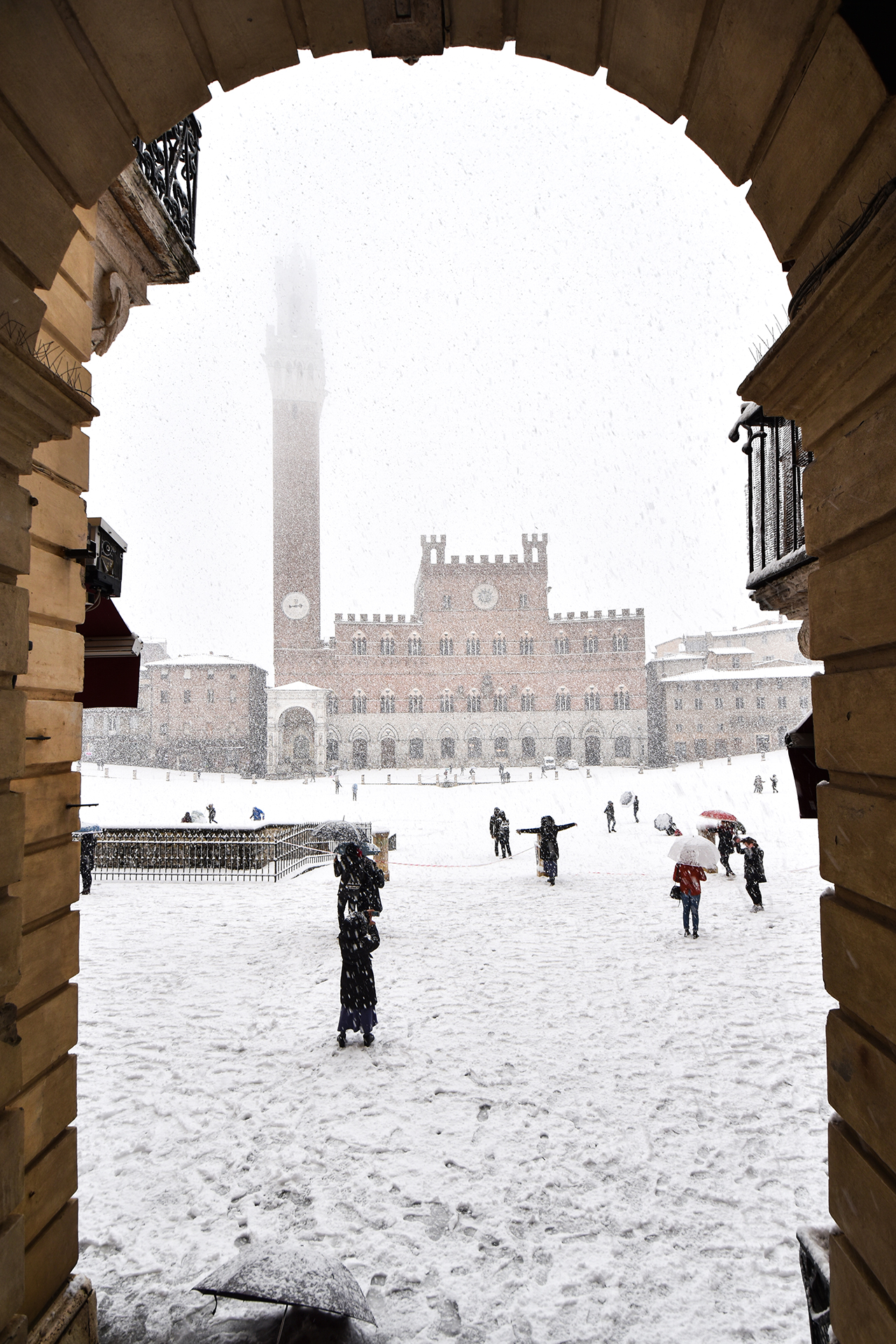 Field Square under the snow