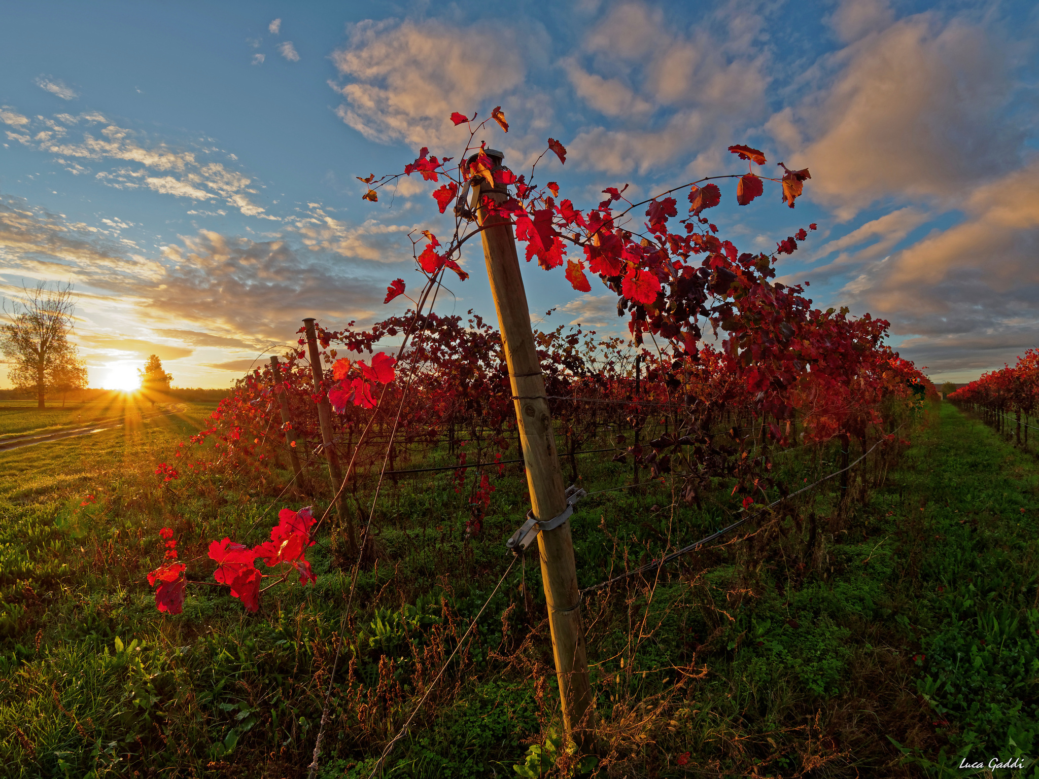Poetry of colors in an autumn Sunrise