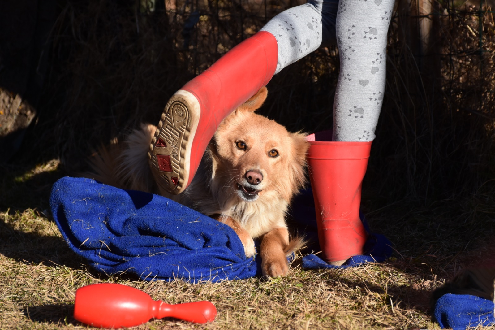 The blanket is mine!