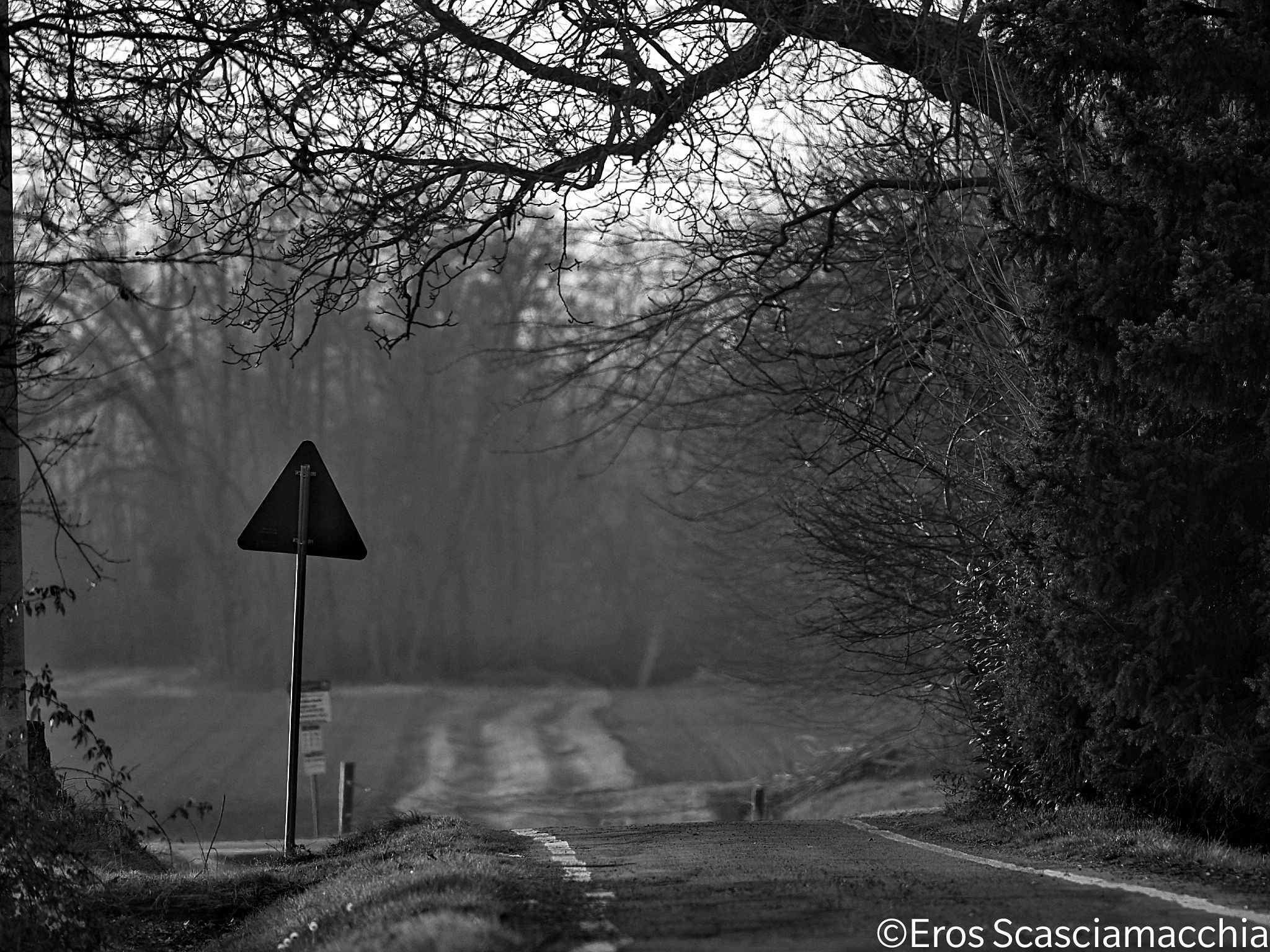 sapore di campagna...