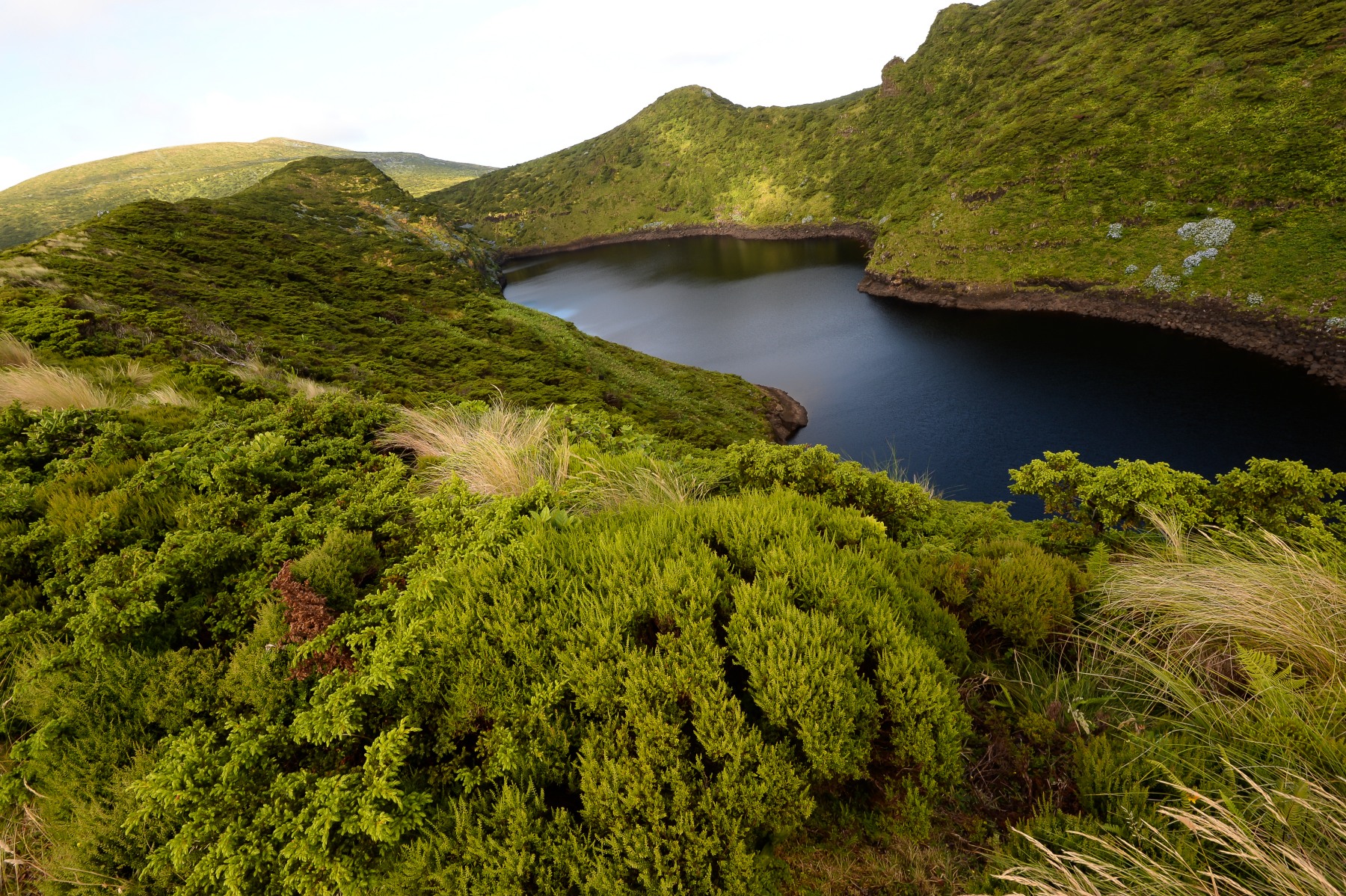 Flores, Caldeira nero