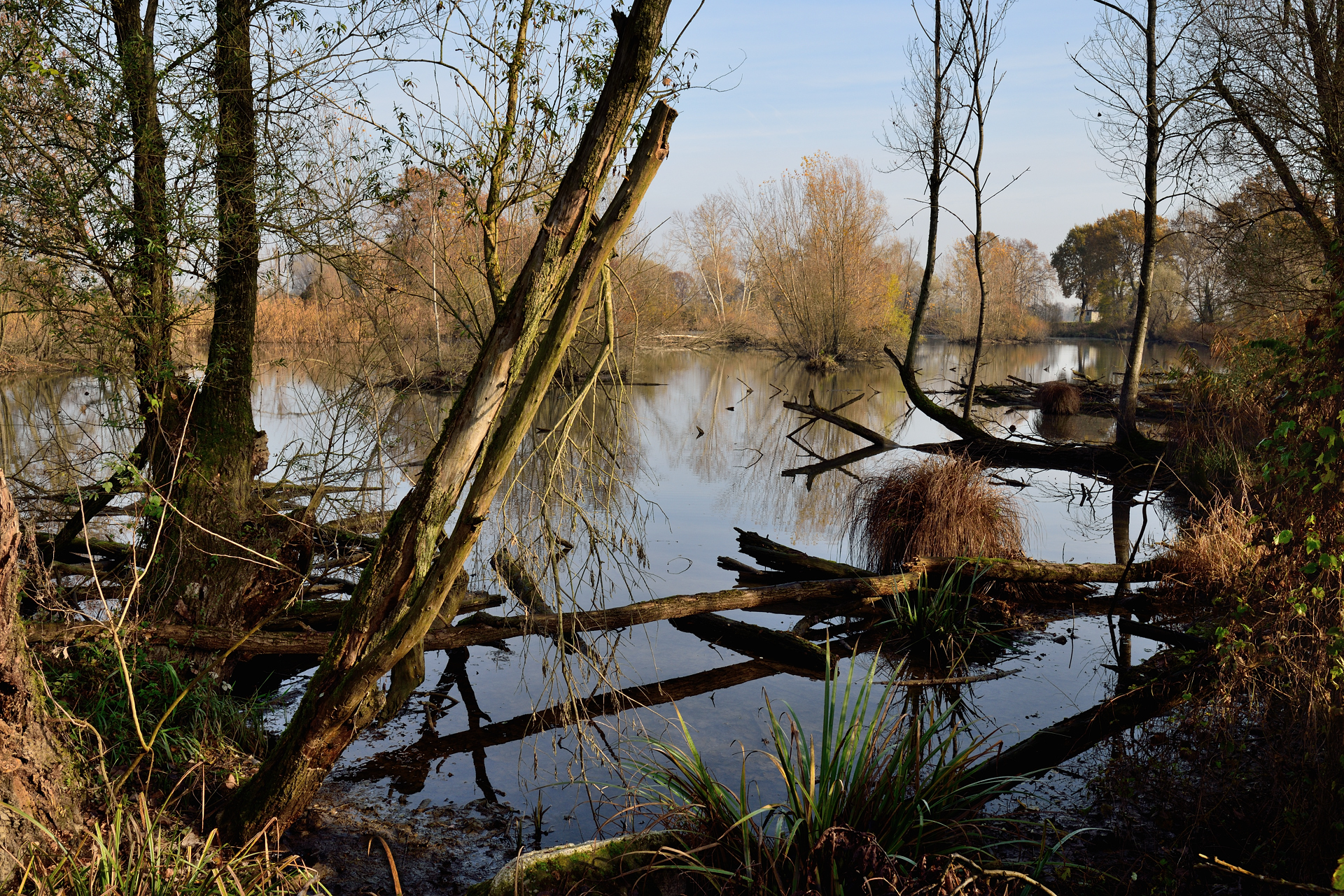 Morta dell'Adda di Cavenago d'Adda