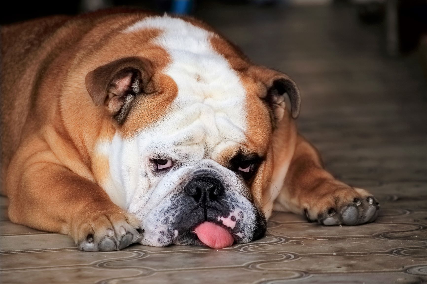 I keep you under eye-Caesar