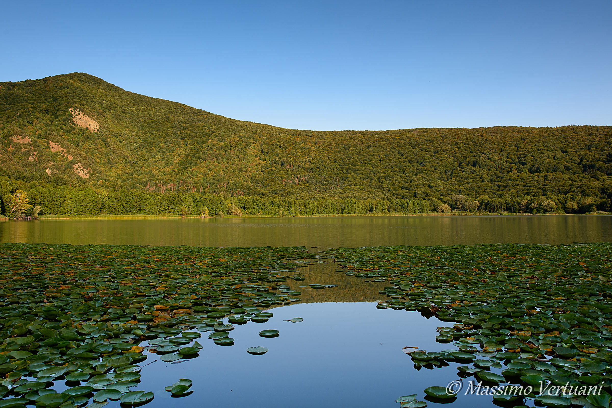 Low Lake Monticchio (Basilicata)